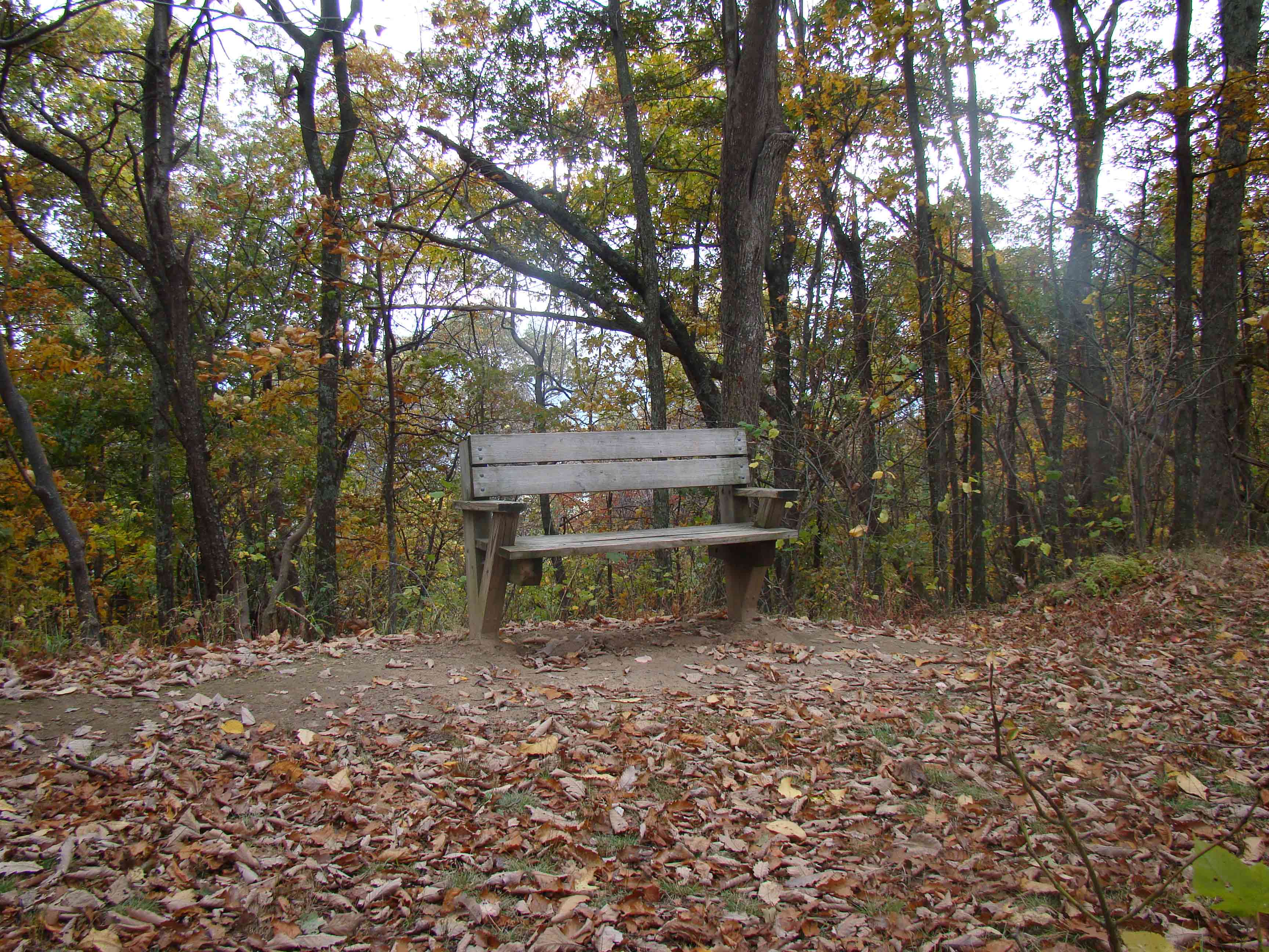 mm 12.3  Southern end of the section where the trail follows
the old road.  Northbound hikers completing the 1500 foot climb from Craig
Creek are greeted by this park bench.   Courtesy ideanna656@aol.com