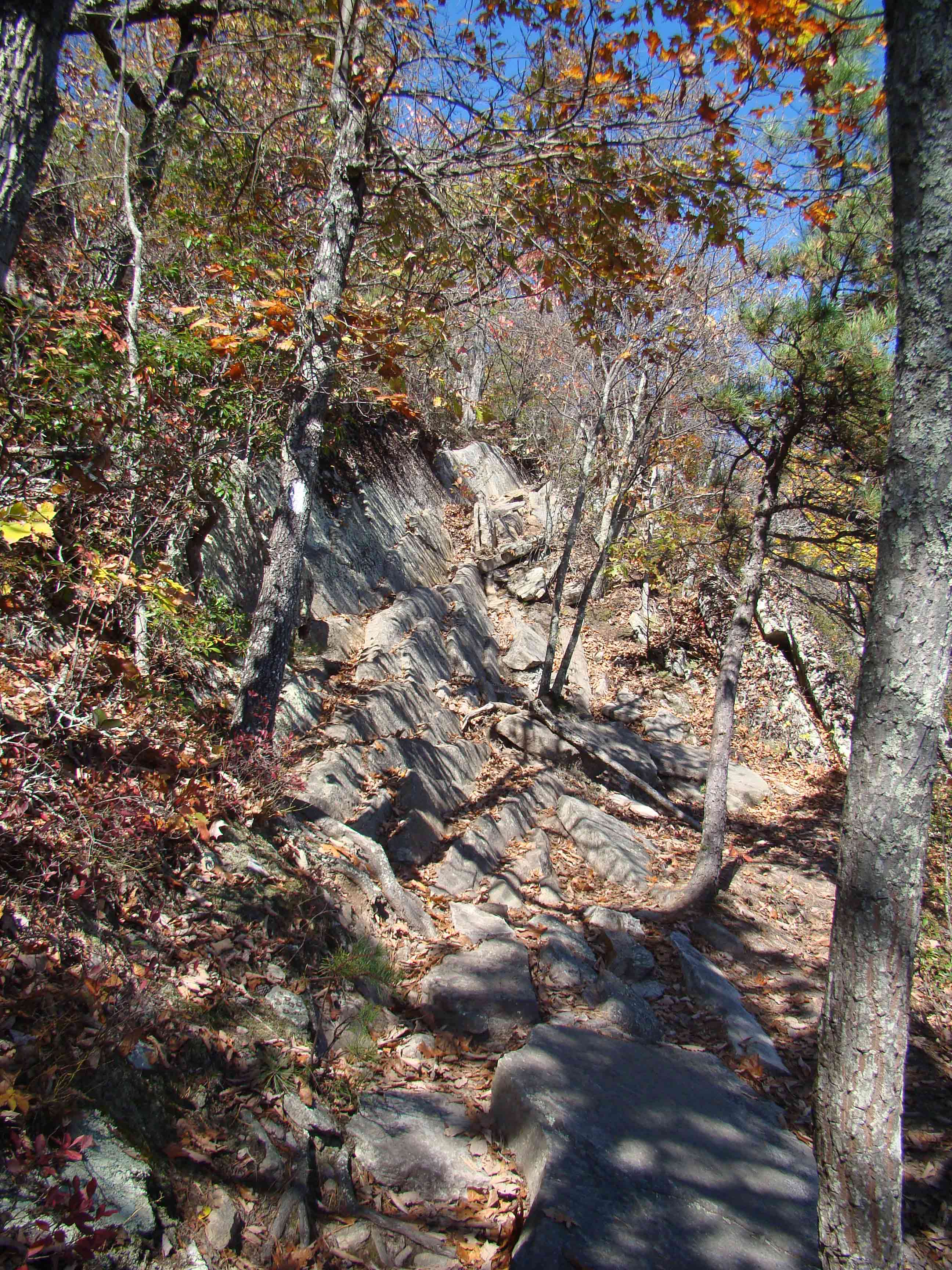 Rough trail at  mm 2.4 over sloping rocks  Courtesy
ideanna656@aol.com