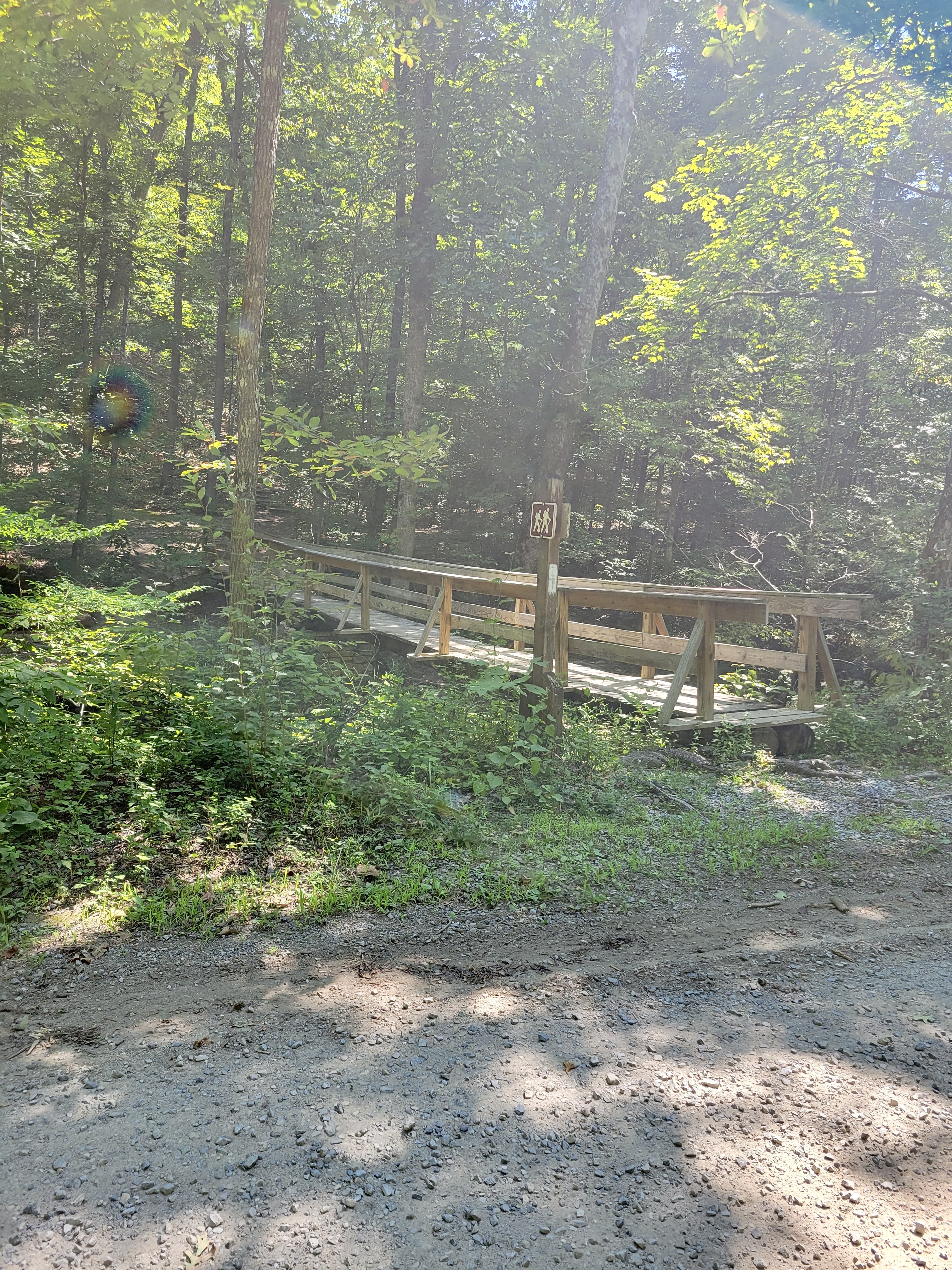 mm 7.9 Foot Bridge across Trout Creek and Northbound Trailhead  Courtesy cabincellars@yahoo.com