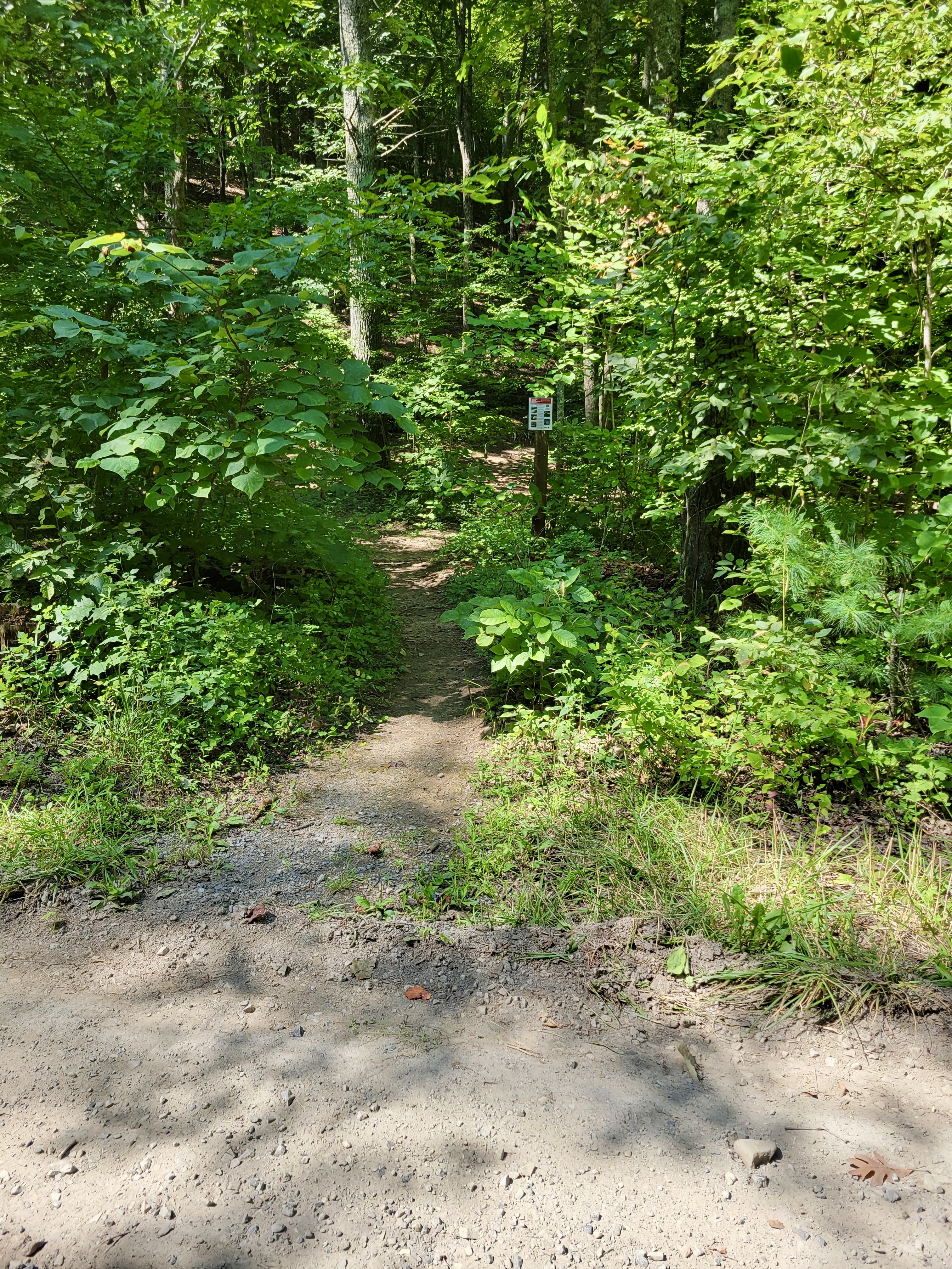 mm 7.9 Southbound Trailhead towards Audie Murphy monument  Courtesy cabincellars@yahoo.com