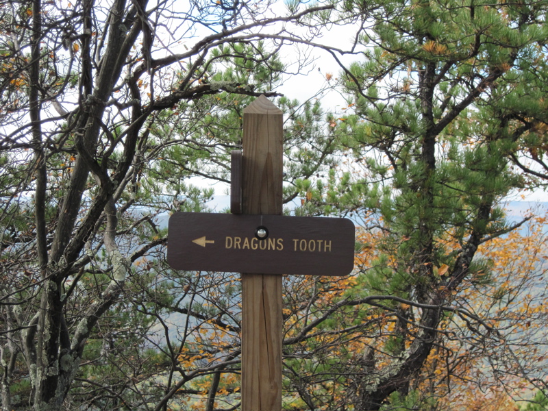 mm 2.5 Trail junction with the Dragons Tooth Spur.  Courtesy
dlcul@conncoll.edu