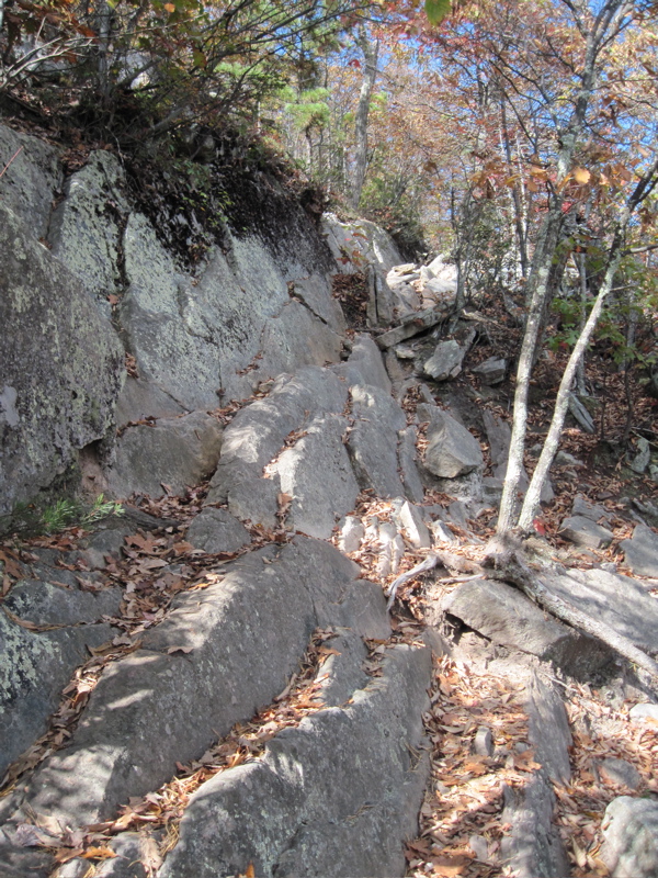 Part of the rock scramble trail north from Dragons Tooth.
Taken at approx. mm 2.4  Courtesy dlcul@conncoll.edu
