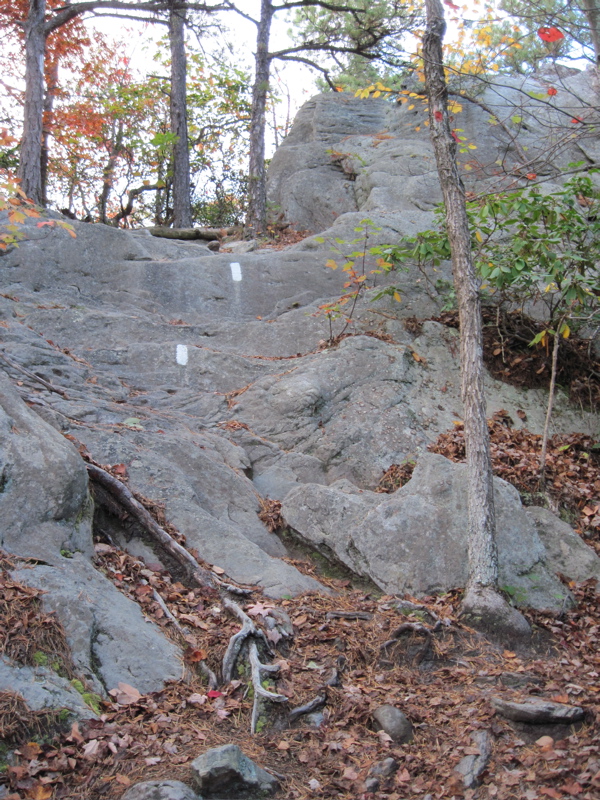 Yes, the trail really does go up this rock. Taken at approx.
mm 1.3  Courtesy dlcul@conncoll.edu