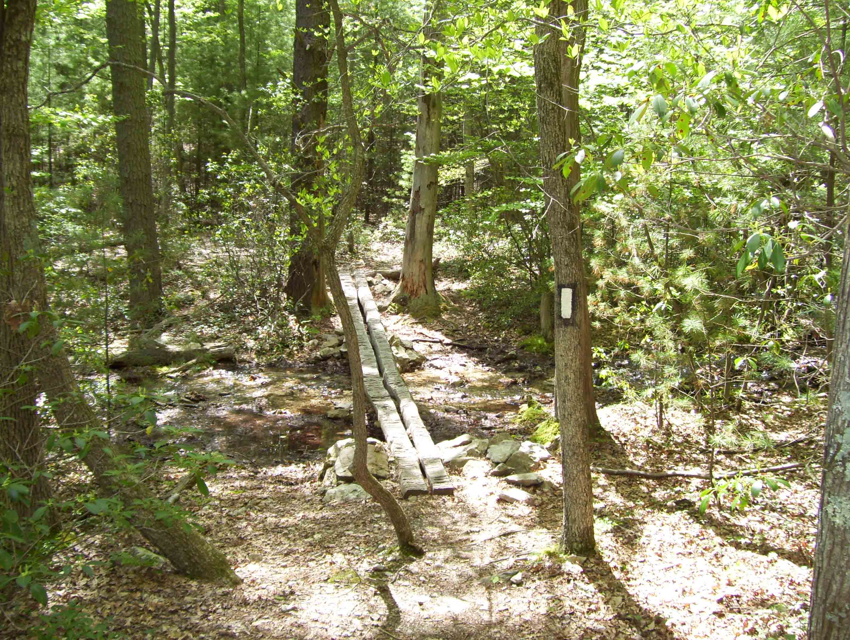 Creek crossing at mm 16.8.  Courtesy dlcul@conncoll.edu