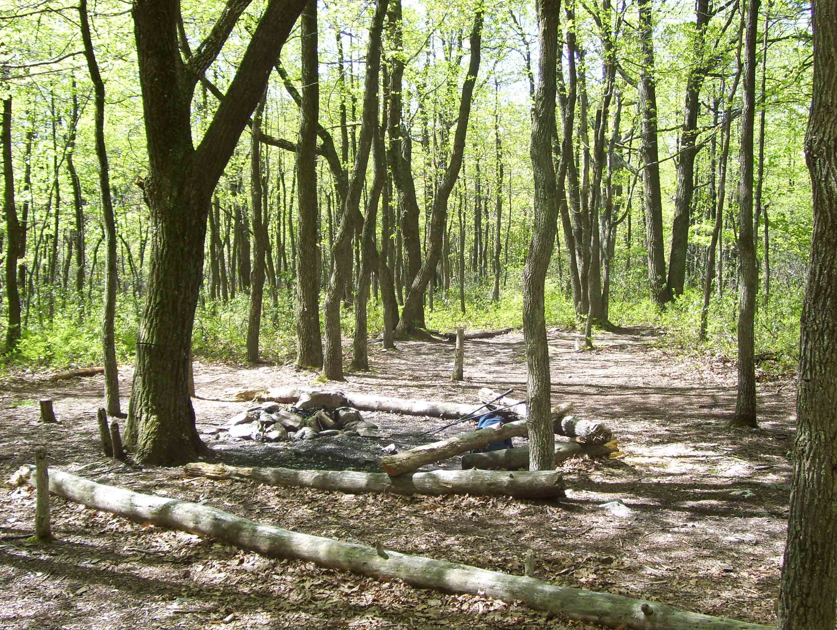South bound from Birch Run shelter,  the trail climbs a hill.  This campsite is at the top of the hill.  Taken at approx. mm 10.0.  Courtesy dlcul@conncoll.edu