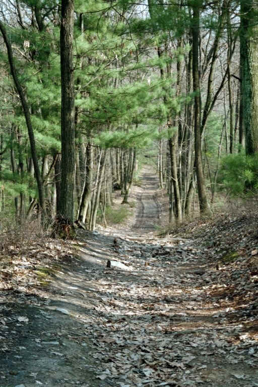 Trail south of Pine Grove Furnace SP. Between Michaux Road (mm 2.2) and Toms Run Shelters (mm  3.4), the AT follows an old road. Courtesy at@rohland.org