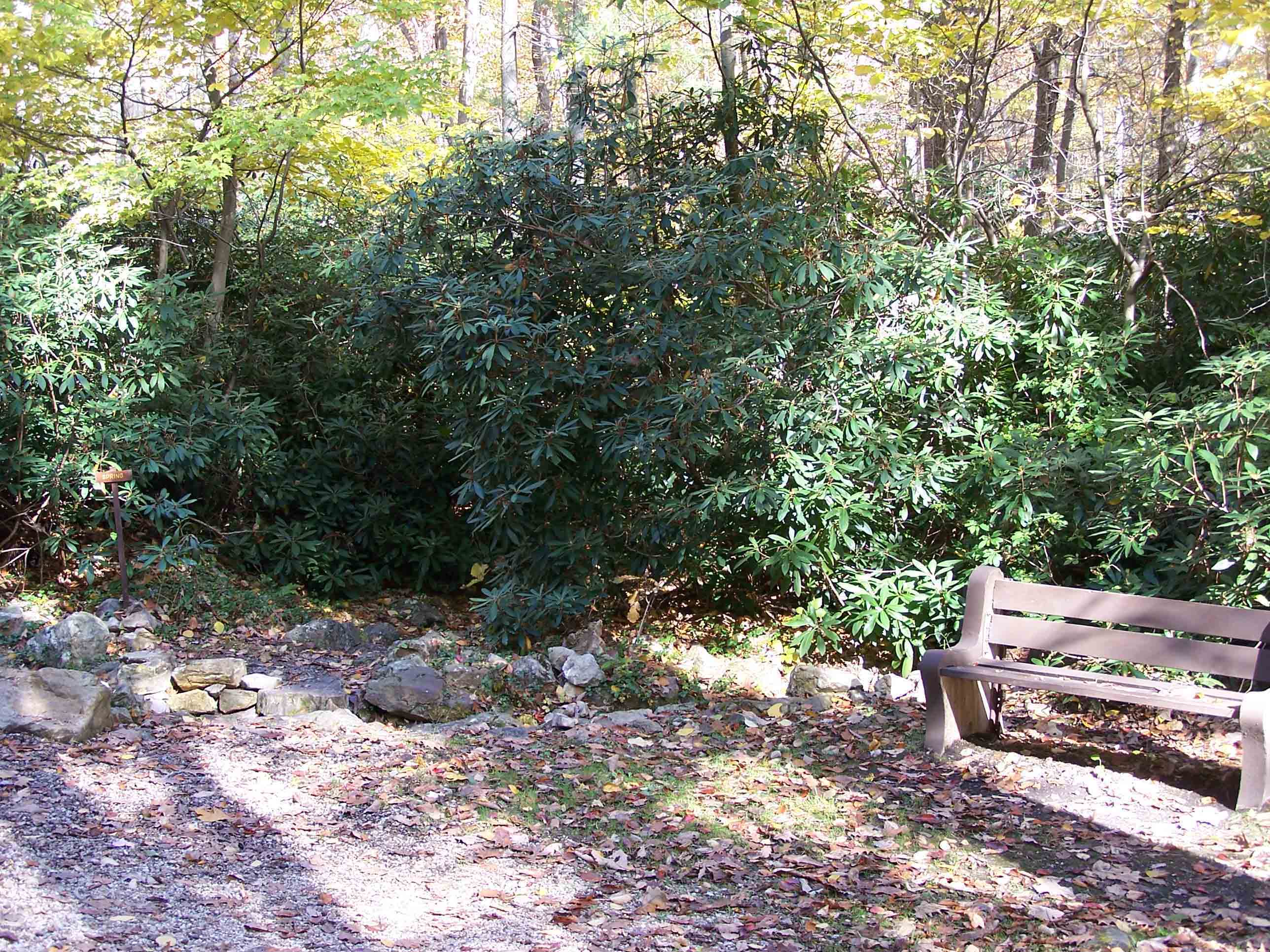 Quarry Gap Shelter mm 17. Courtesy at@rohland.org