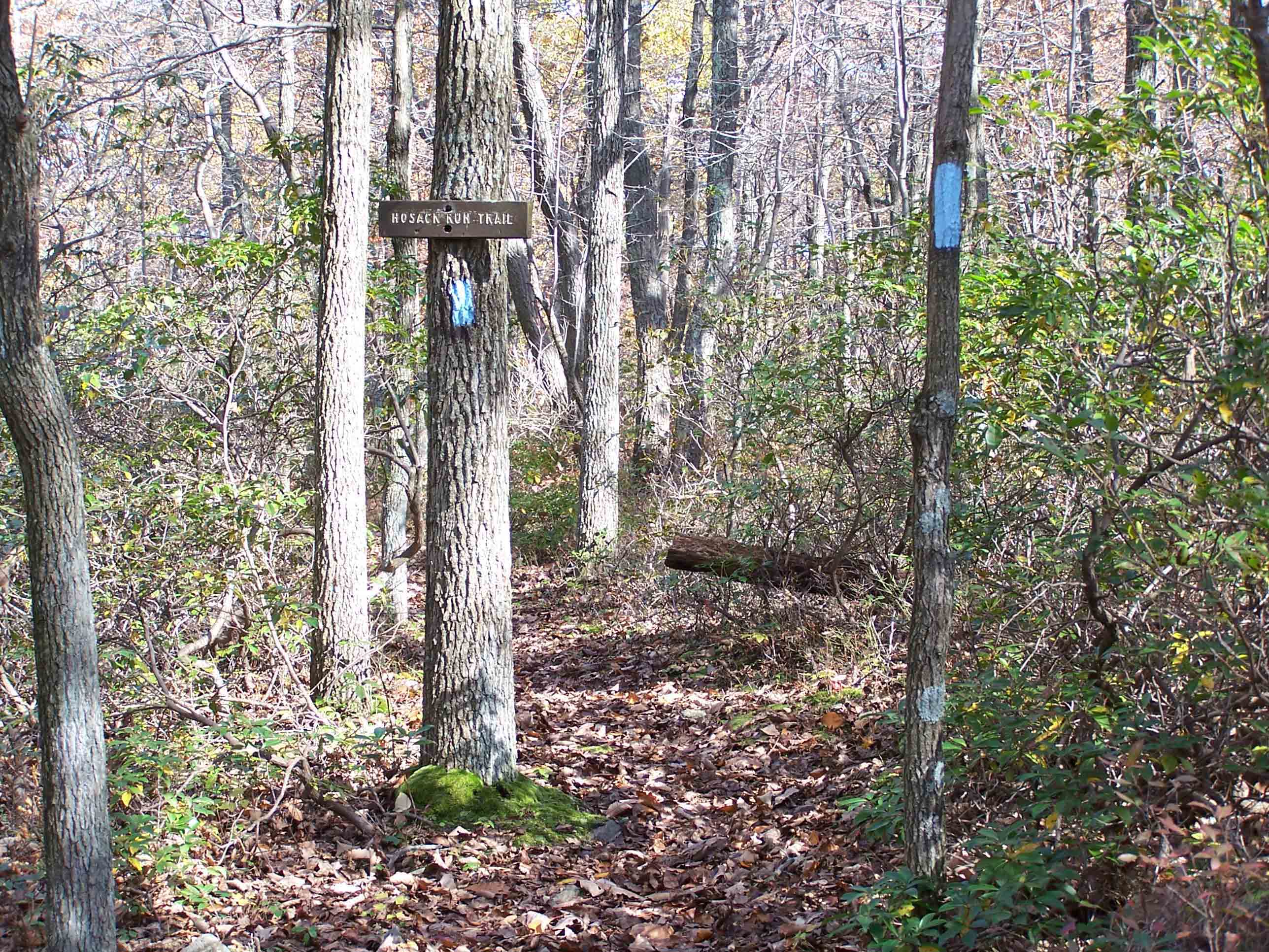 Hosack Run Trail mm 16.3. Courtesy at@rohland.org