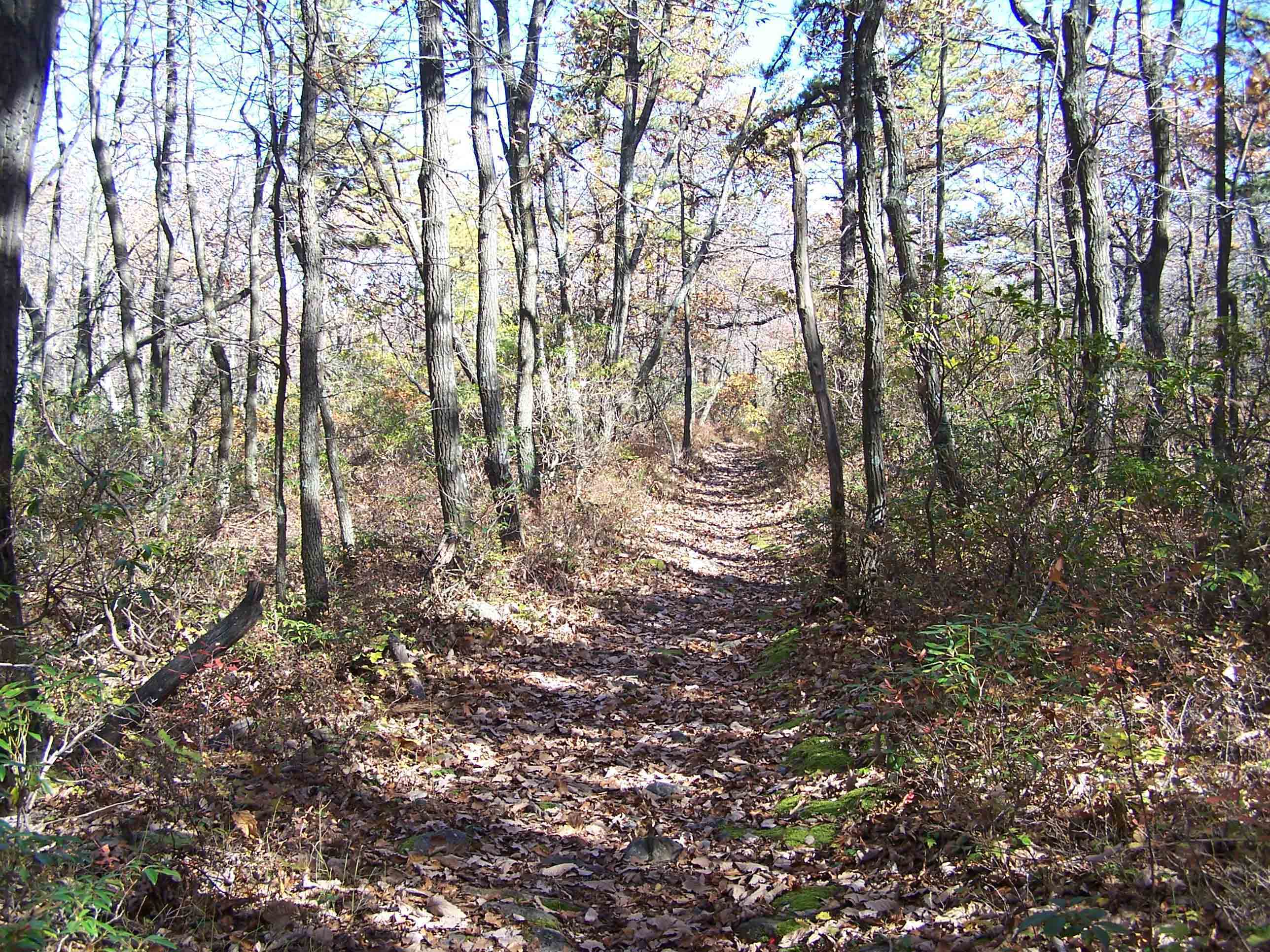 Trail between mm 12.5 - 12.9. Courtesy at@rohland.org