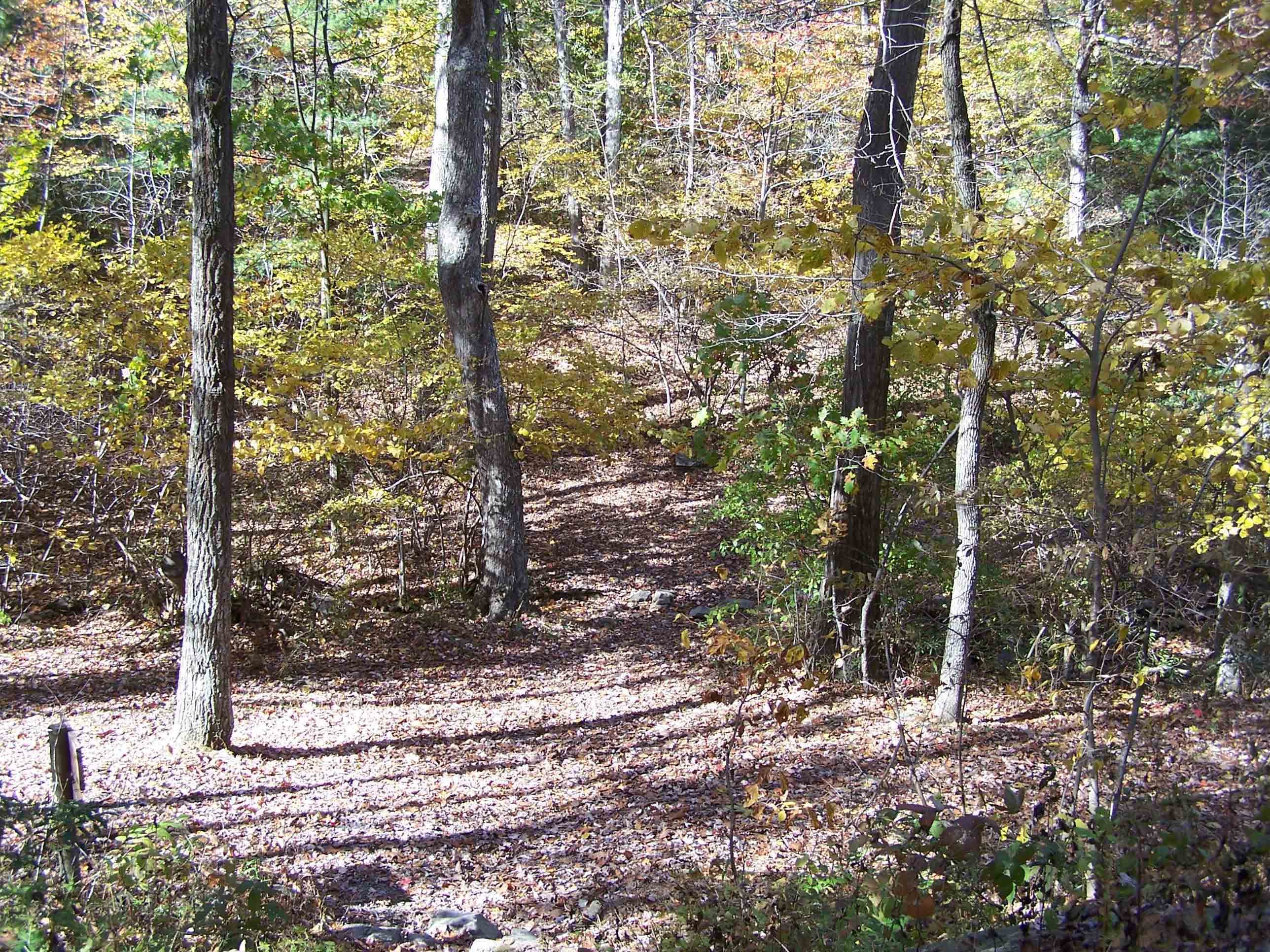 Trail at Milesburn Cabin mm 12.1. Courtesy at@rohland.org