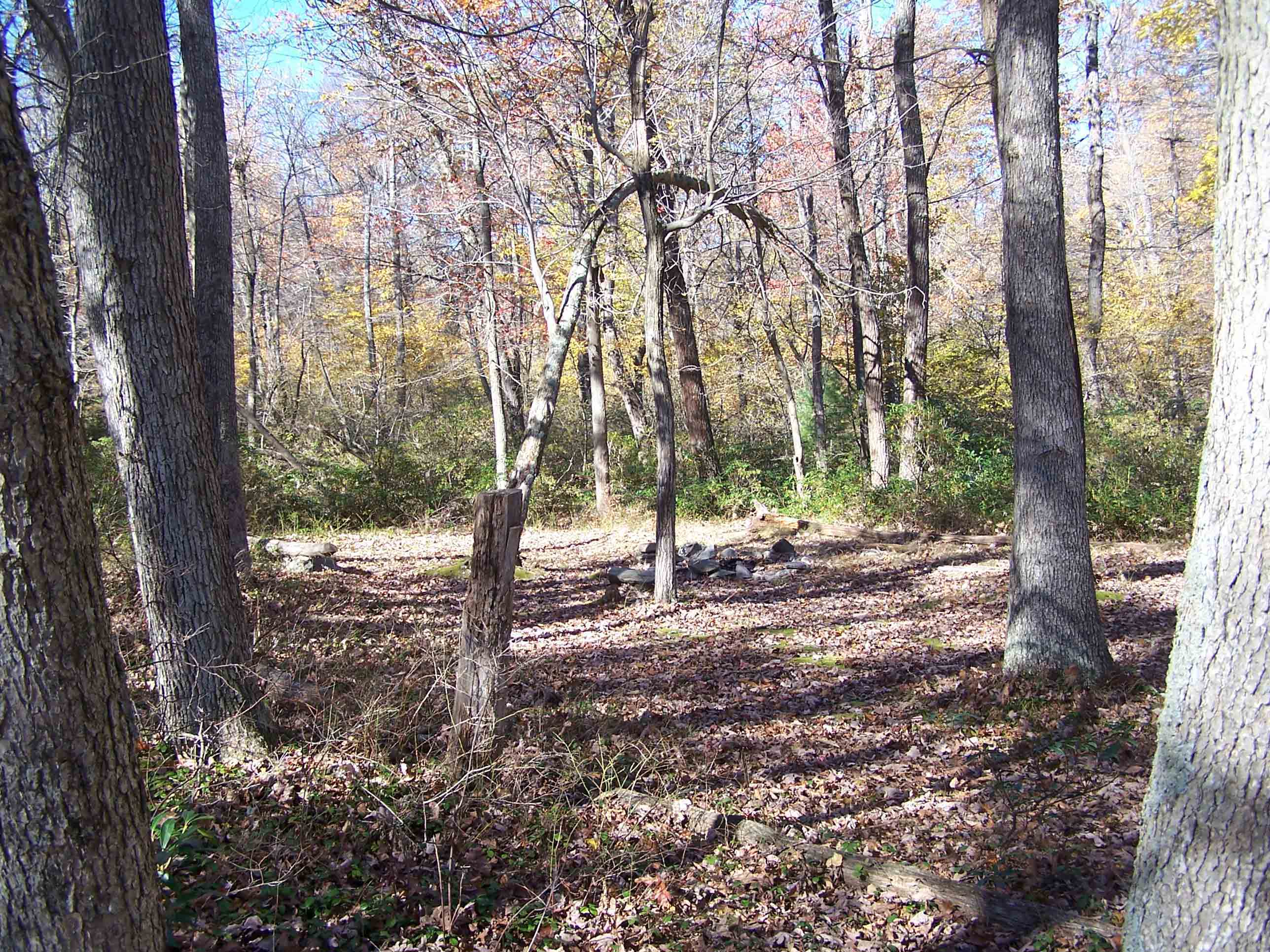 Campground between Birch Run Shelter and Rocky Knob Trail. Courtesy at@rohland.org