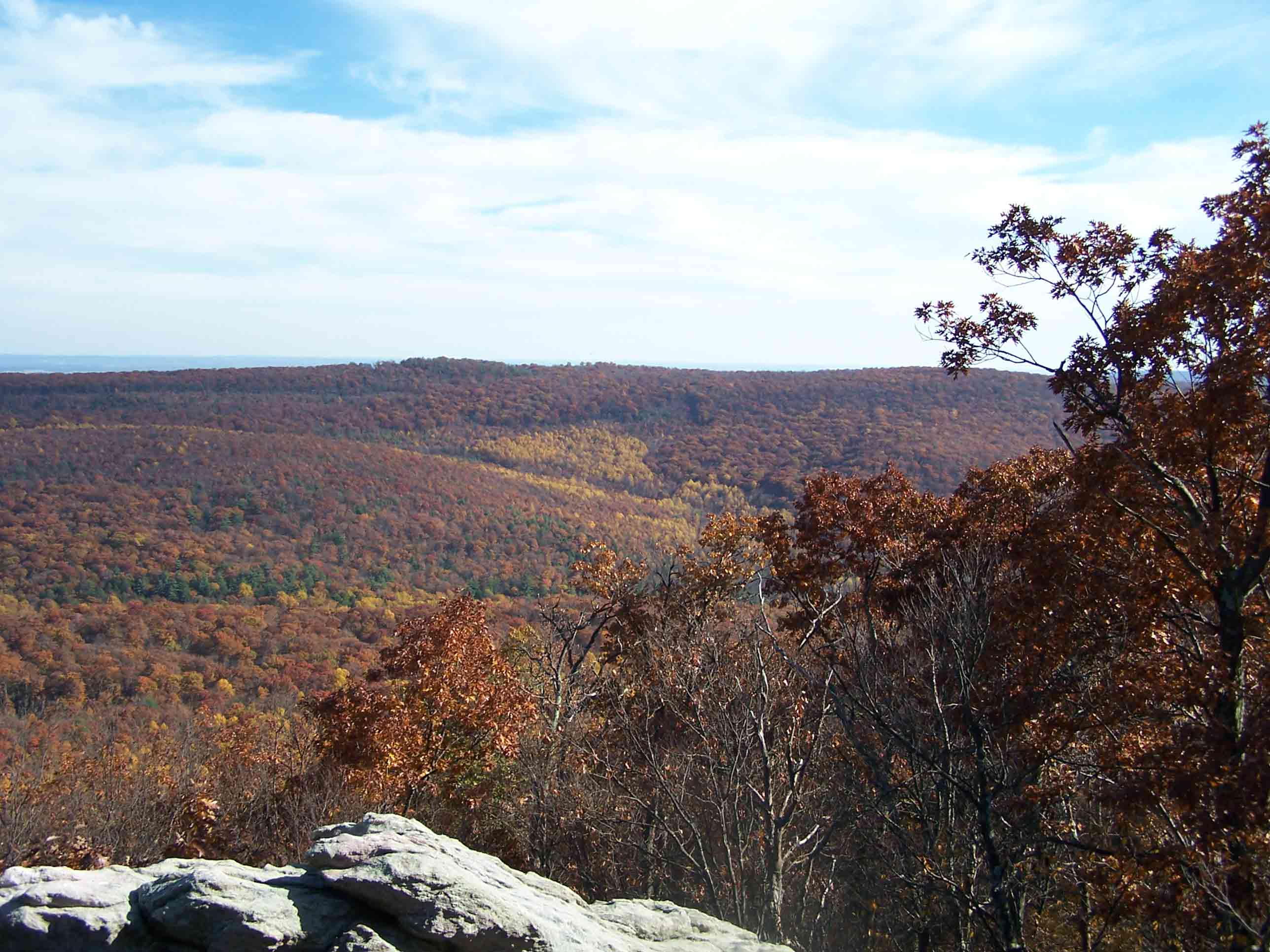 View from Chimney Rocks. Courtesy at@rohland.org