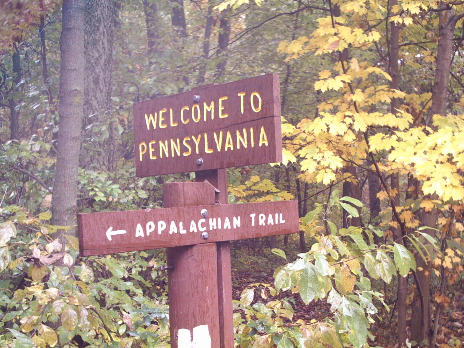 Welcome to PA sign. Unfortunately no longer exists. Courtesy at@rohland.org