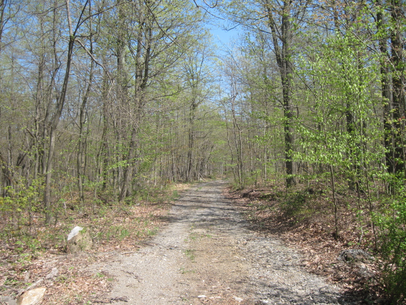 mm 12.3  Gravel Road.  According to the AT Guide to PA, this leads east to Rattlesnake Run Road in a lttle over a tenth of a mile.   Courtesy dlcul@conncoll.edu