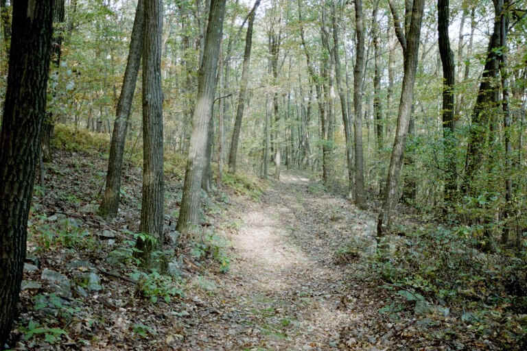 Trail south of Rt 309. Courtesy at@rohland.org