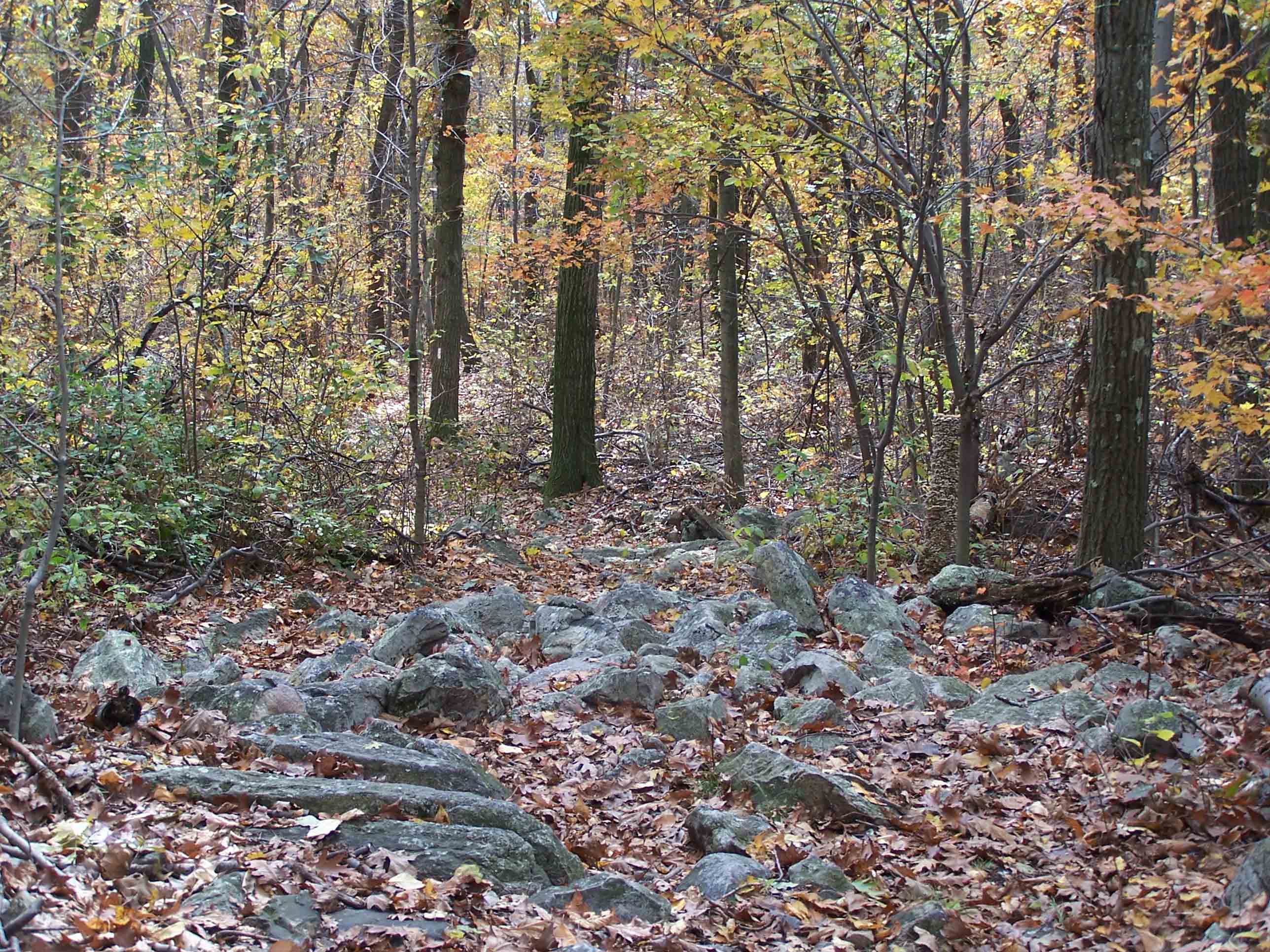 VERY rocky trail south of Allentown Shelter. Courtesy at@rohland.org