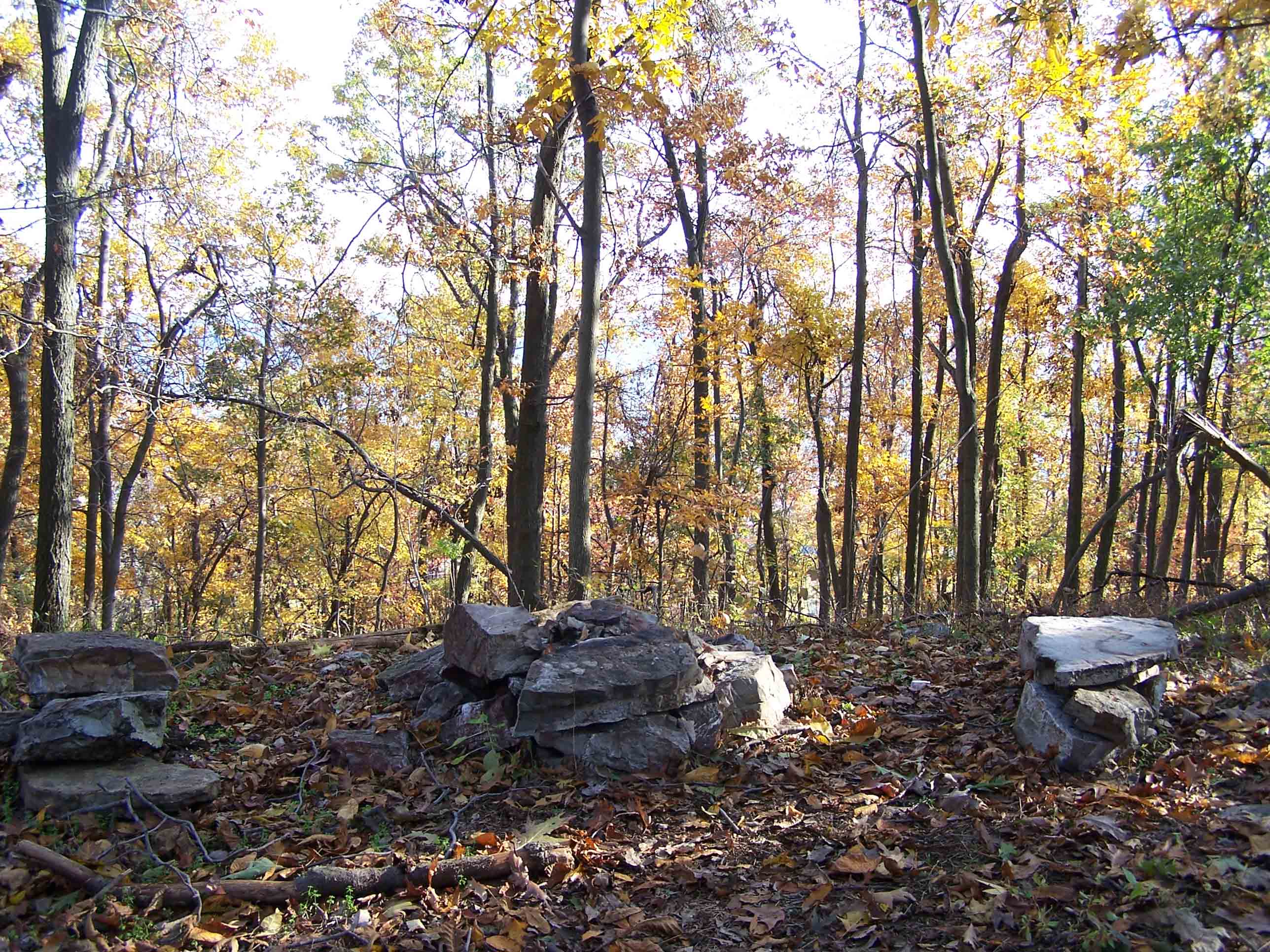 Campsite north of blue-blazed trail to Hawk Mountain Sanctuary. Courtesy at@rohland.org