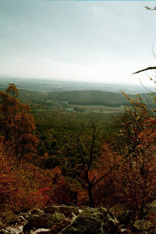 Fisher Lookout on Trail between PA 501 and PA 645. Courtesy at@rohland.org
