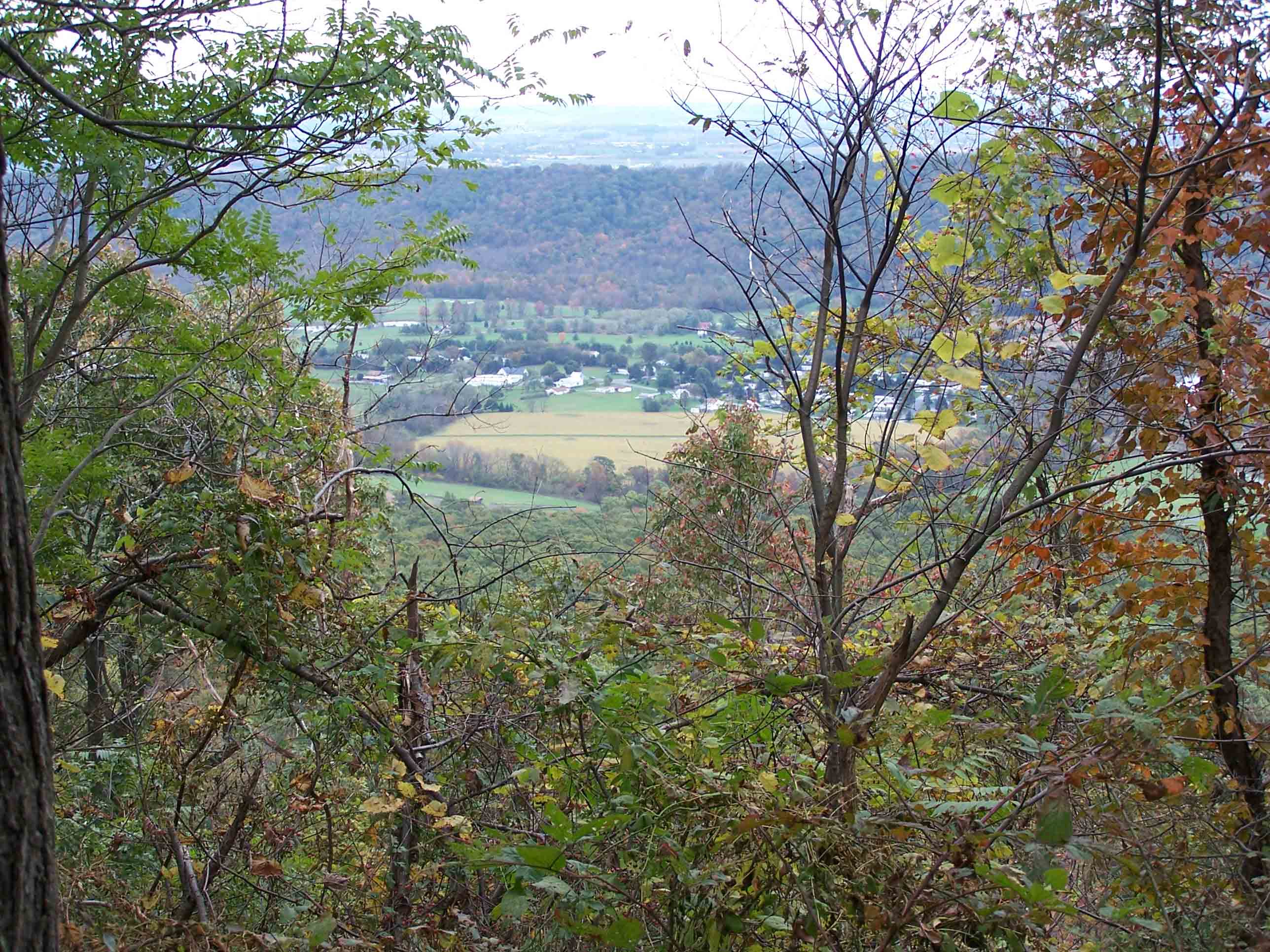 Trail views north of Swatara Gap - south of William Penn Shelter. Courtesy at@rohland.org