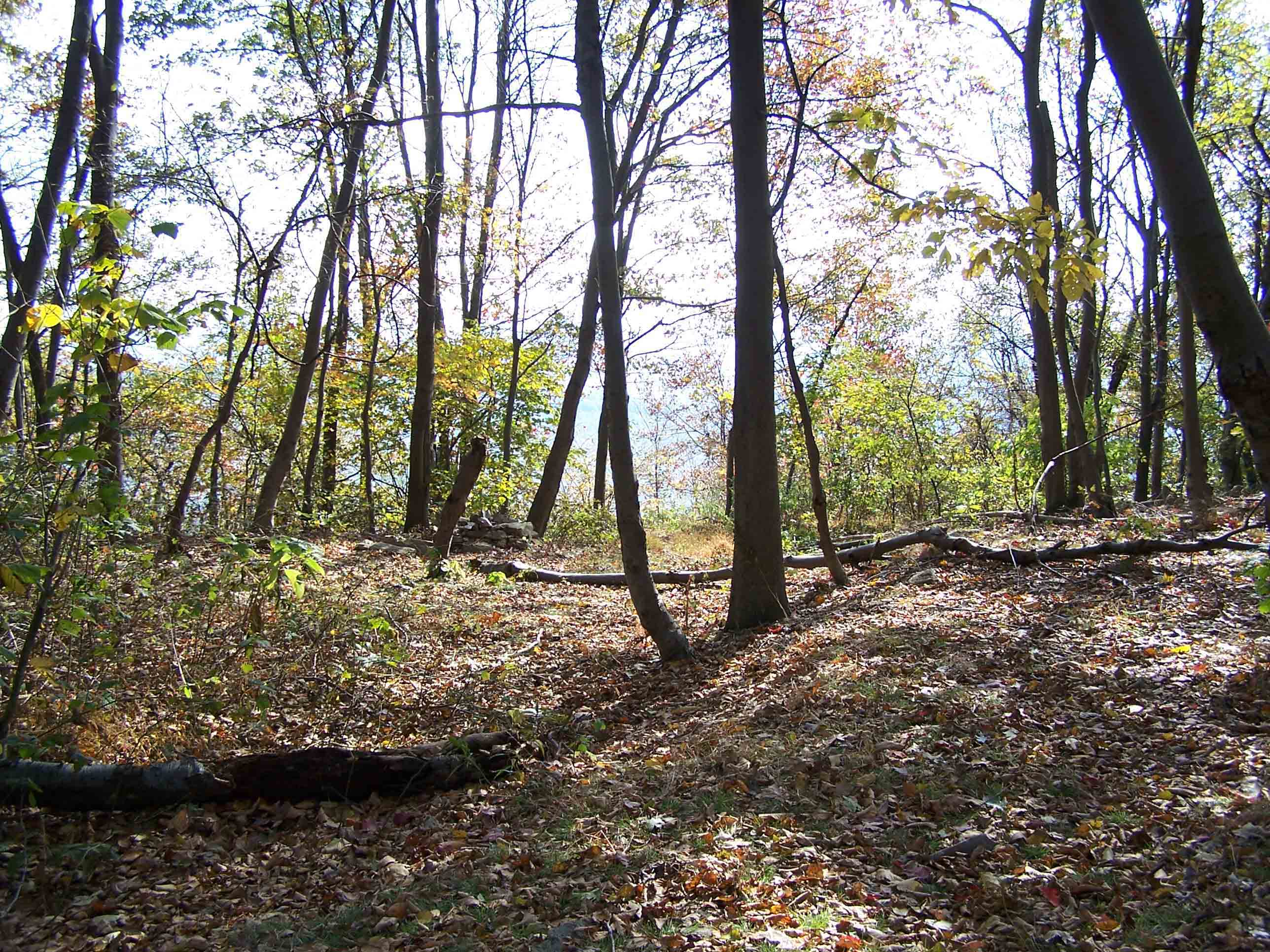 Campsites on trail north of Swatara Gap - south of William Penn Shelter. Courtesy at@rohland.org
