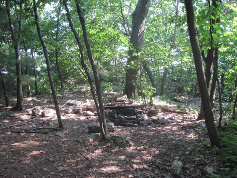 mm 9.8 Campsite near Fisher Lookout  Courtesy dlcul@conncoll.edu