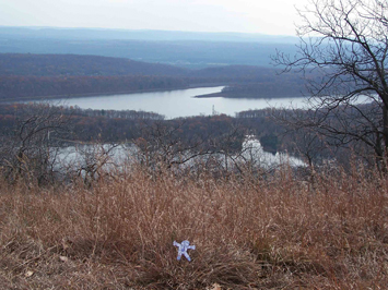 Flat Stanley Rohland at view of Yards Creek Reservoir
