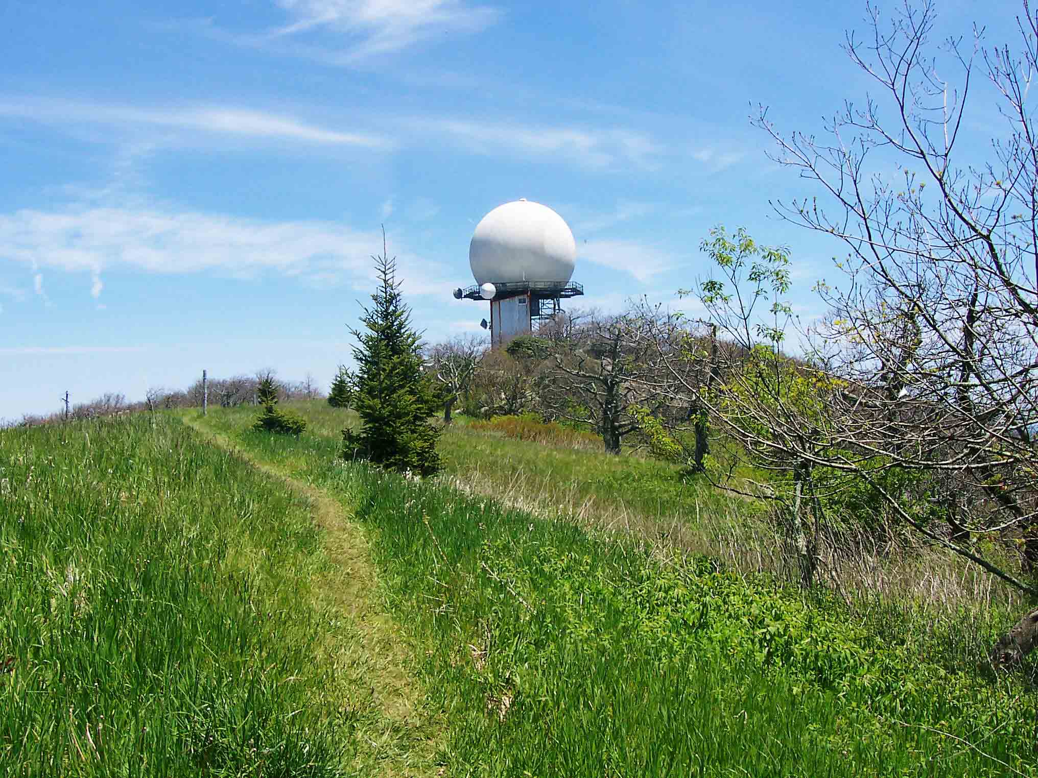 mm 5.9 - Summit of Apple Orchard Mt. (Elevation 4225 feet). This is highest point on AT between Chestnut Knob 200 miles to the south and Mt. Mossilauke in New Hampshire.  Courtesy dlcul@conncoll.edu