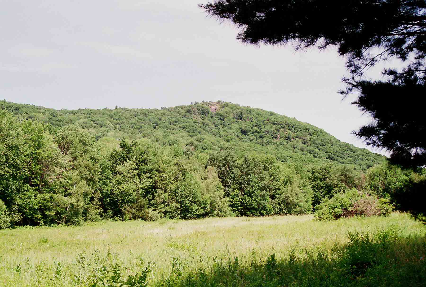 View back towards Lions head from near the trail head of the blue-blazed Lions Head Trail (former AT route). The previous two pictures were taken from the ledge visible near the top. The Lion's Head Trail meets the AT at MM 4.9.  Courtesy dlcul@conncoll.edu