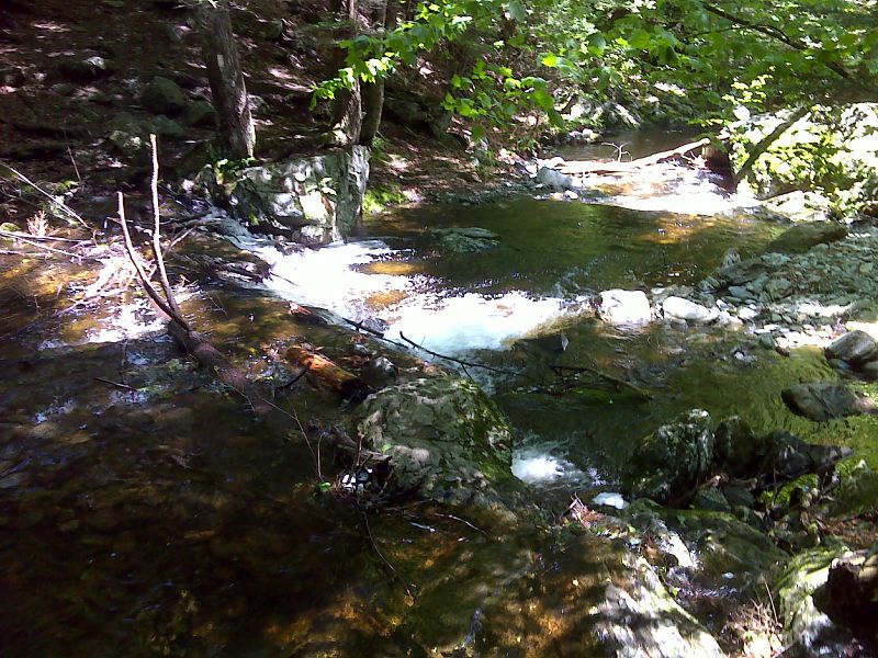 mm 0.0  Crossing of Sages Ravine Brook.  Choices are to ford or use precarious logs and boulders.  Once there was a bridge here.  GPS N42.0524 W 73.4440  Courtesy pjwetzel@gmail.com