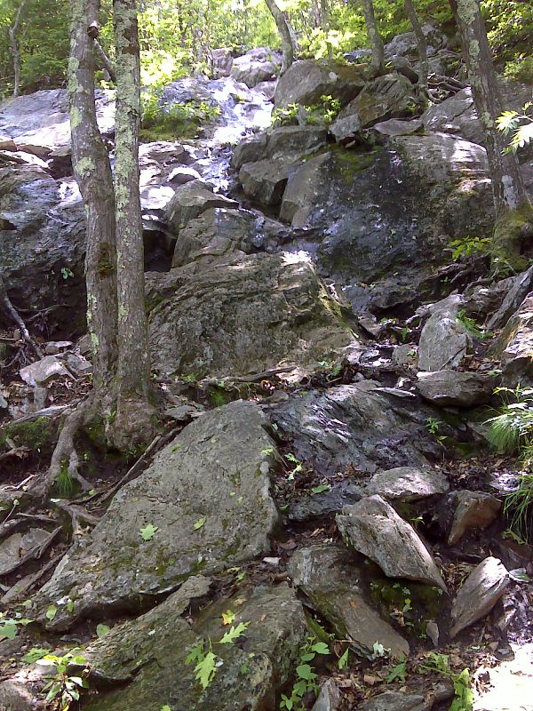 Steep rock scramble on north side of Bear Mountain. GPS N42.0469 W73.4533  Courtesy pjwetzel@gmail.com
