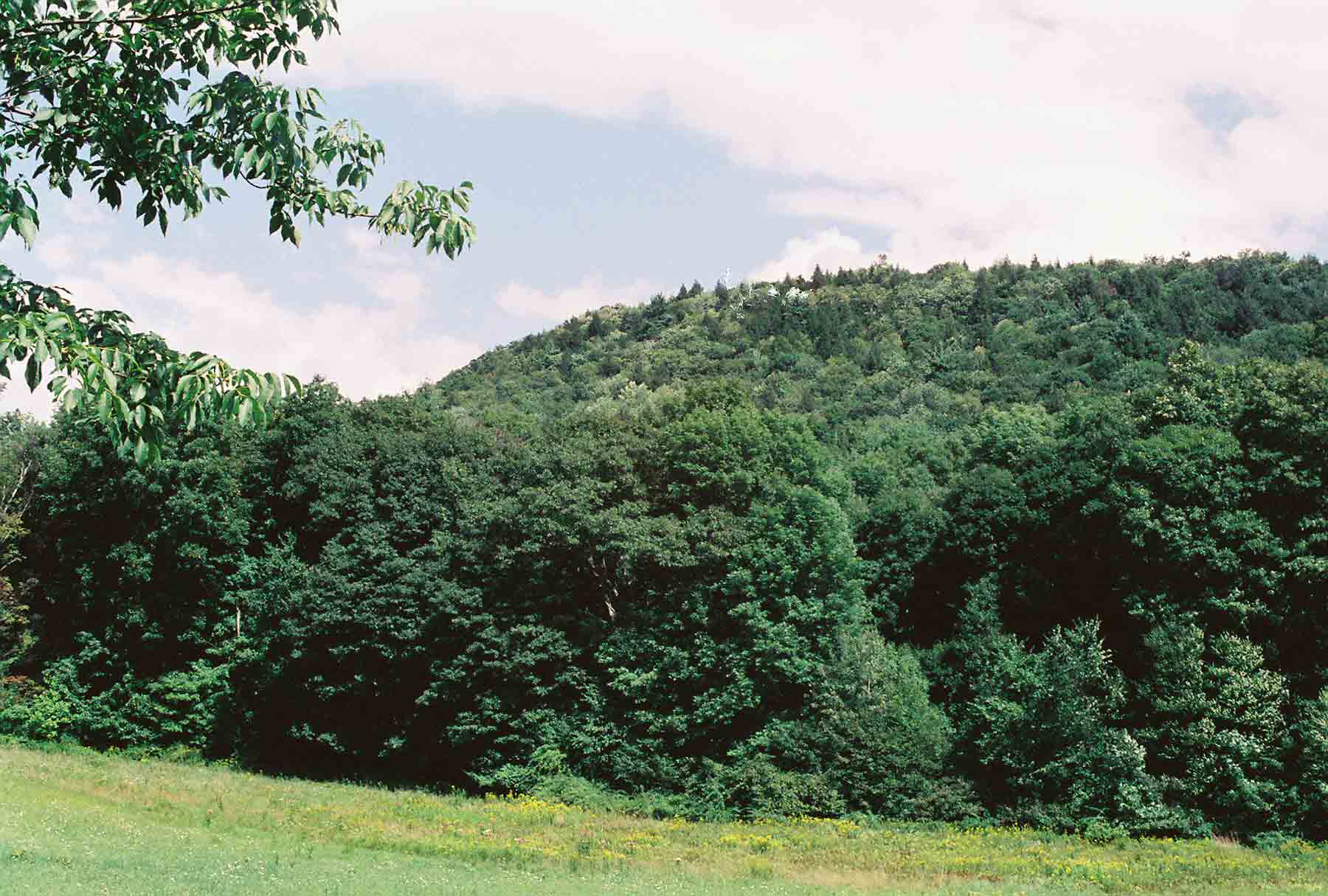 mm 1.0 - View of Barrack Matiff (spelling correct) from the field just south of where the southbound trail leaves US 44 near Salisbury. The trail climbs this hill.  Courtesy dlcul@conncoll.edu