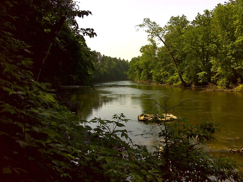 Housatonic River from near south end of accessible trail section.    GPS N41.9484 W73.3667  Courtesy pjwetzel@gmail.com
