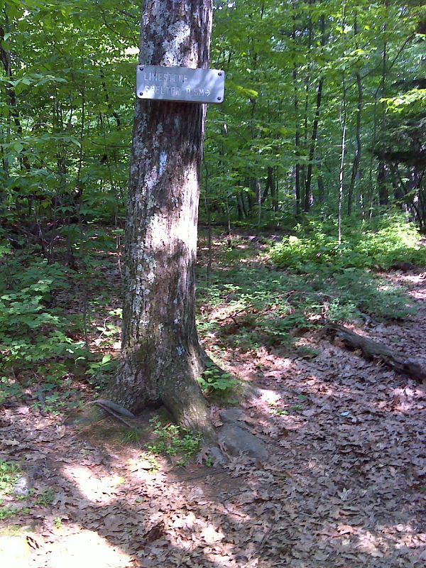 mm 4.1  Side trail to Limestone Springs Shelter.  Part of the 0.5 mile long  trail involves a steep descent to the shelter.  The trail continues to Sugar Hill Road. GPS 41.9807 W 73.3928  Courtesy pjwetzel@gmail.com