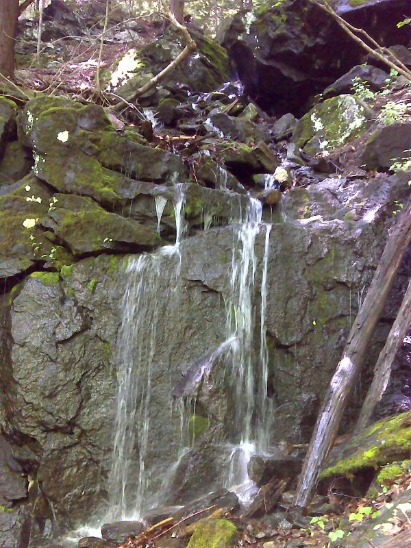 mm 4.1  The blue-blazed trail to Limestone Springs Shelter  descends past this small waterfall.   GPS 41.9769 W 73.3915  Courtesy pjwetzel@gmail.com