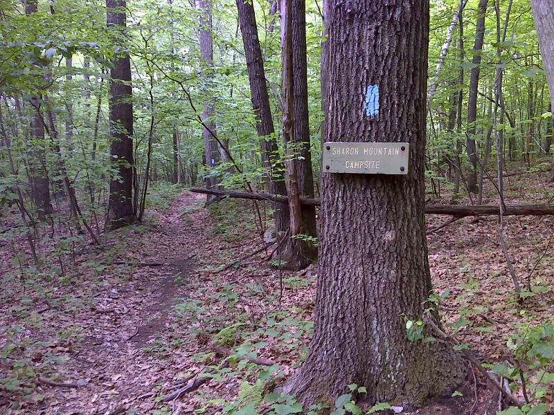 mm 3.2 Junction with side trail to Sharon Mountain Campsite.  GPS  N41.9098 W73.3941  Courtesy pjwetzel@gmail.com
