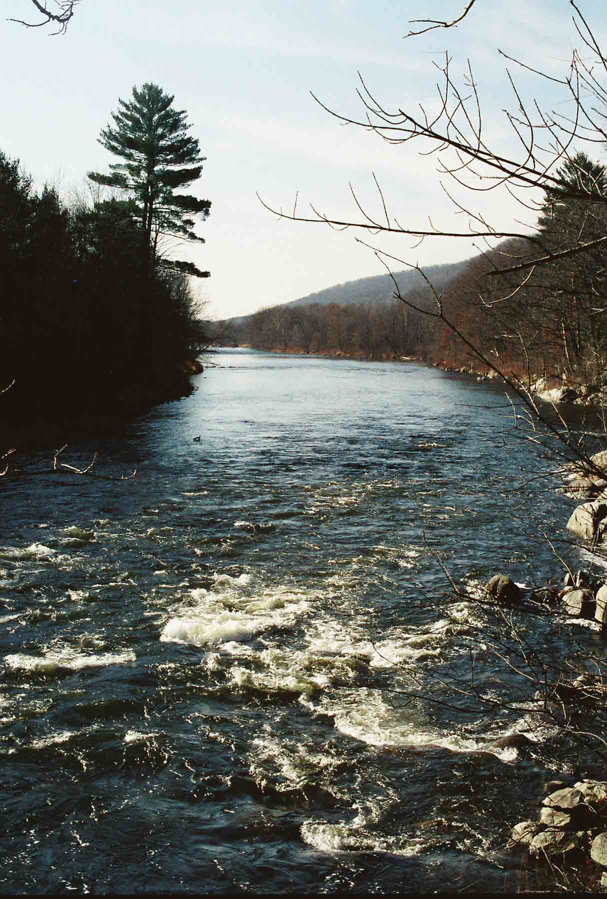 mm 1.7 - Looking south along the Housatonic River at the Swift Bridge site. For almost five files to the south the trail follows the west bank of the river closely, mostly along an old road, most of which has long been closed to traffic.  Courtesy dlcul@conncoll.edu