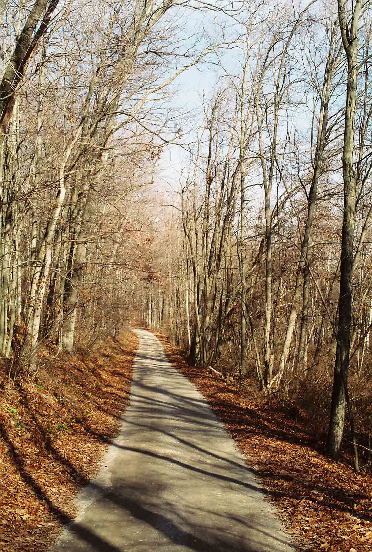 The southernmost mile (Mile 5.4 to 6.4) of the "River Walk" along the Housatonic follows a gravel road open to automobile traffic from Kent.  Courtesy dlcul@conncoll.edu