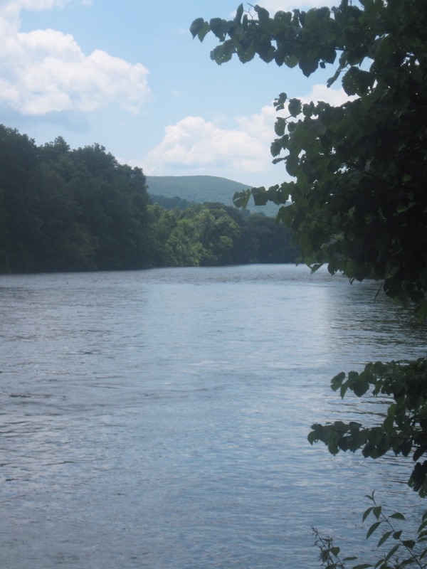 View downstream (south) along the Housatonic River. Taken at approx. mm 1.9  Courtesy dlcul@conncoll.edu