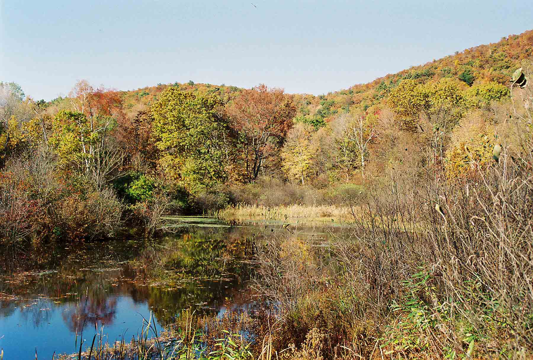 The soutbound AT reaches Schaghticoke Road once it reaches the valley floor near Bull's Bridge (Mile 7.1). It follows the road for 0.3 miles, passing  this small pond. Picture obviously taken  in fall.    Courtesy dlcul@conncoll.edu