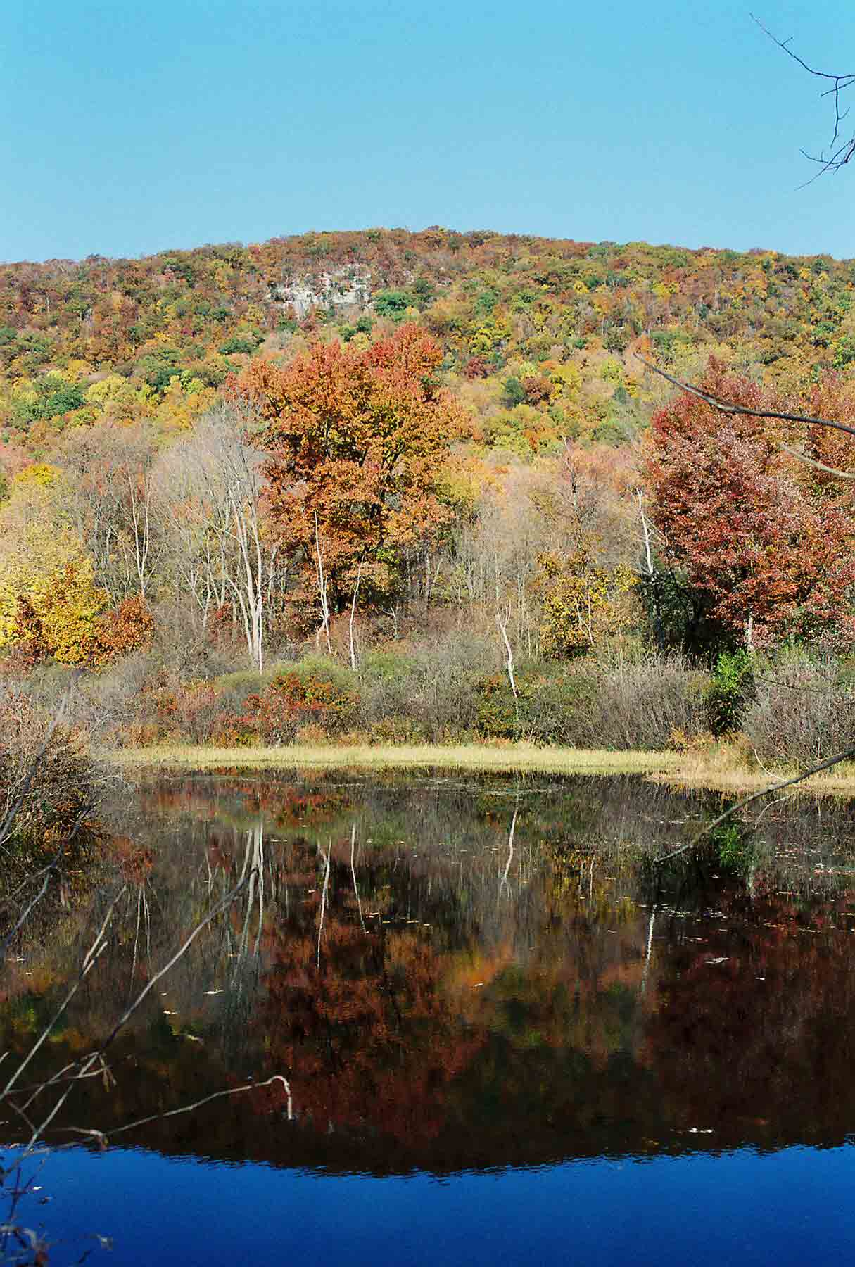 Another view across pond, this one looking back at the Schaghticoke Mountain Ridge which the trail traverses. The pond is at approx. MM 7.2.  Courtesy dlcul@conncoll.edu