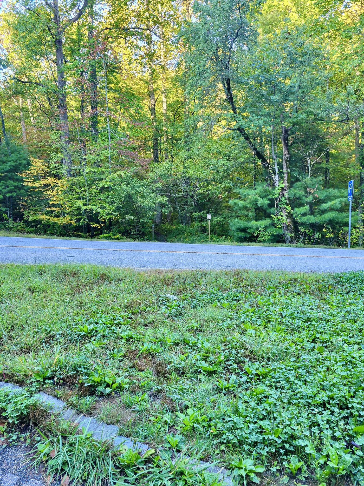 mm 8.8 Southbound AT crosses GA (US 76) from parking lot in Dicks Creek Gap. Zoom in to see white blaze next to picnic sign.  Courtesy cabincellars@yahoo.com