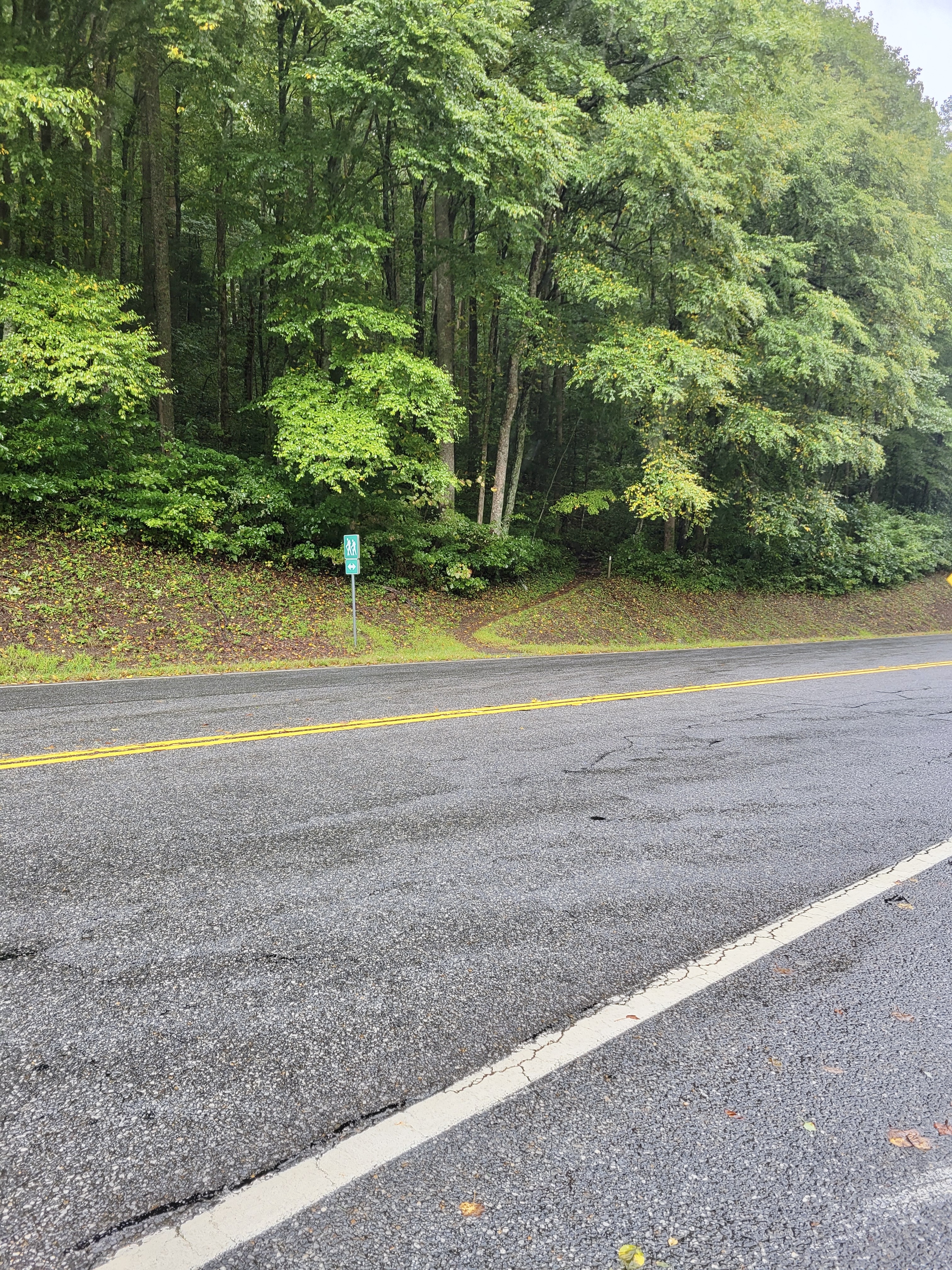 mm 0.0 Southbound trailhead across GA 17/75 from Unicoi Gap Parking area  Courtesy cabincellars@yahoo.com