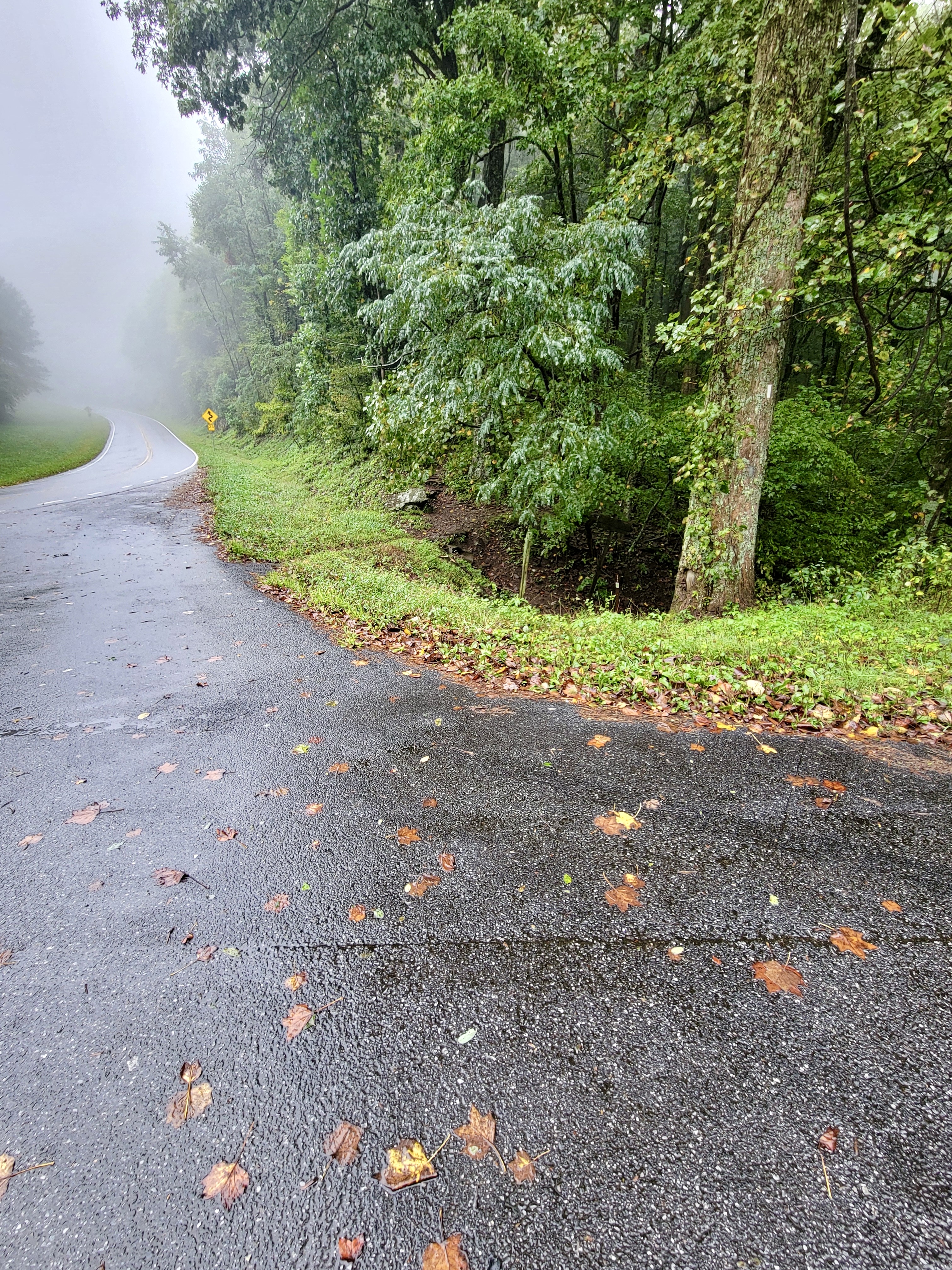 mm 14.7 Northbound trailhead at Tesnatee Gap parking area  Courtesy cabincellars@yahoo.com