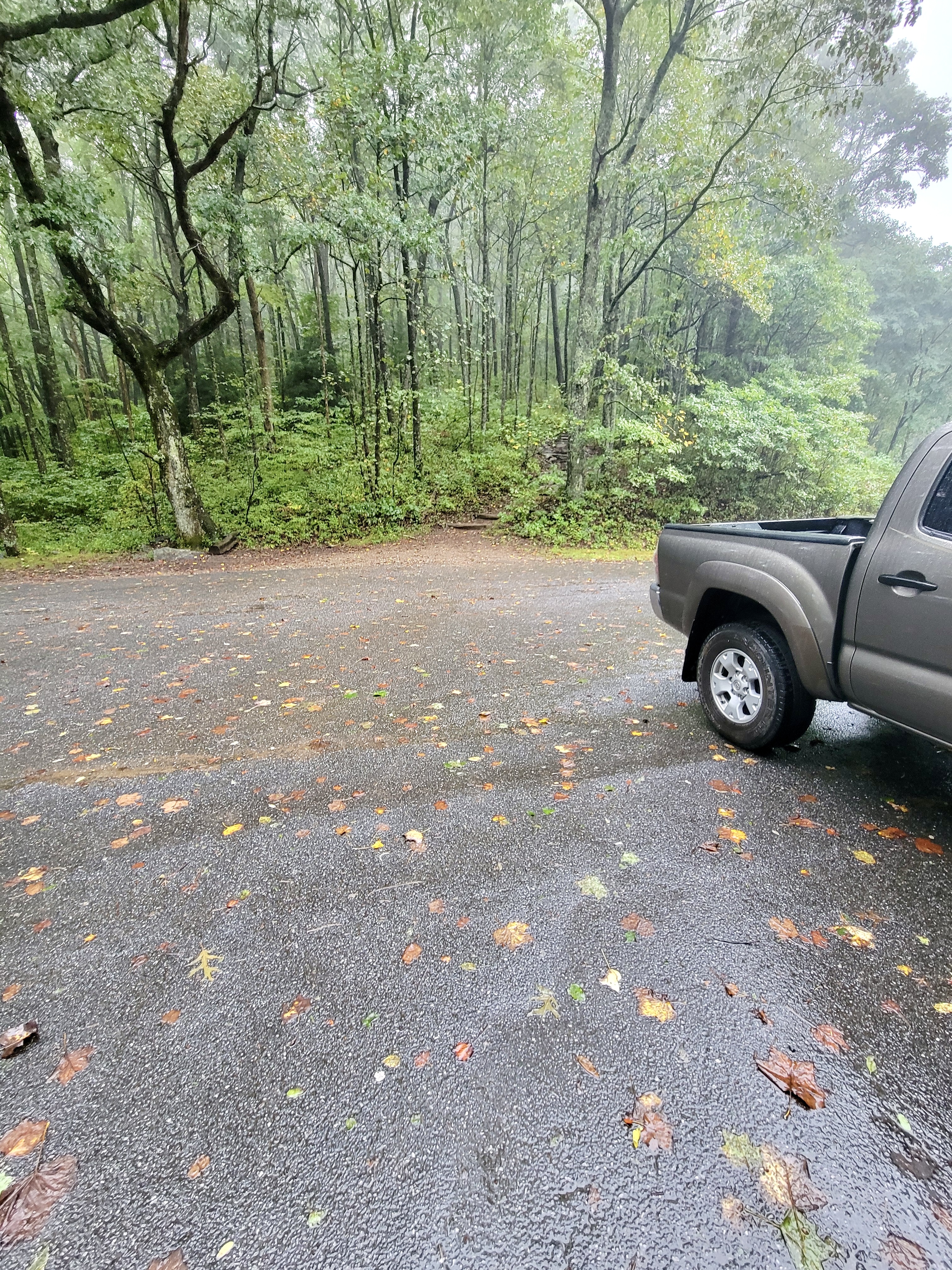 mm 0.0 Southbound trailhead at Tesnatee Gap parking area  Courtesy cabincellars@yahoo.com