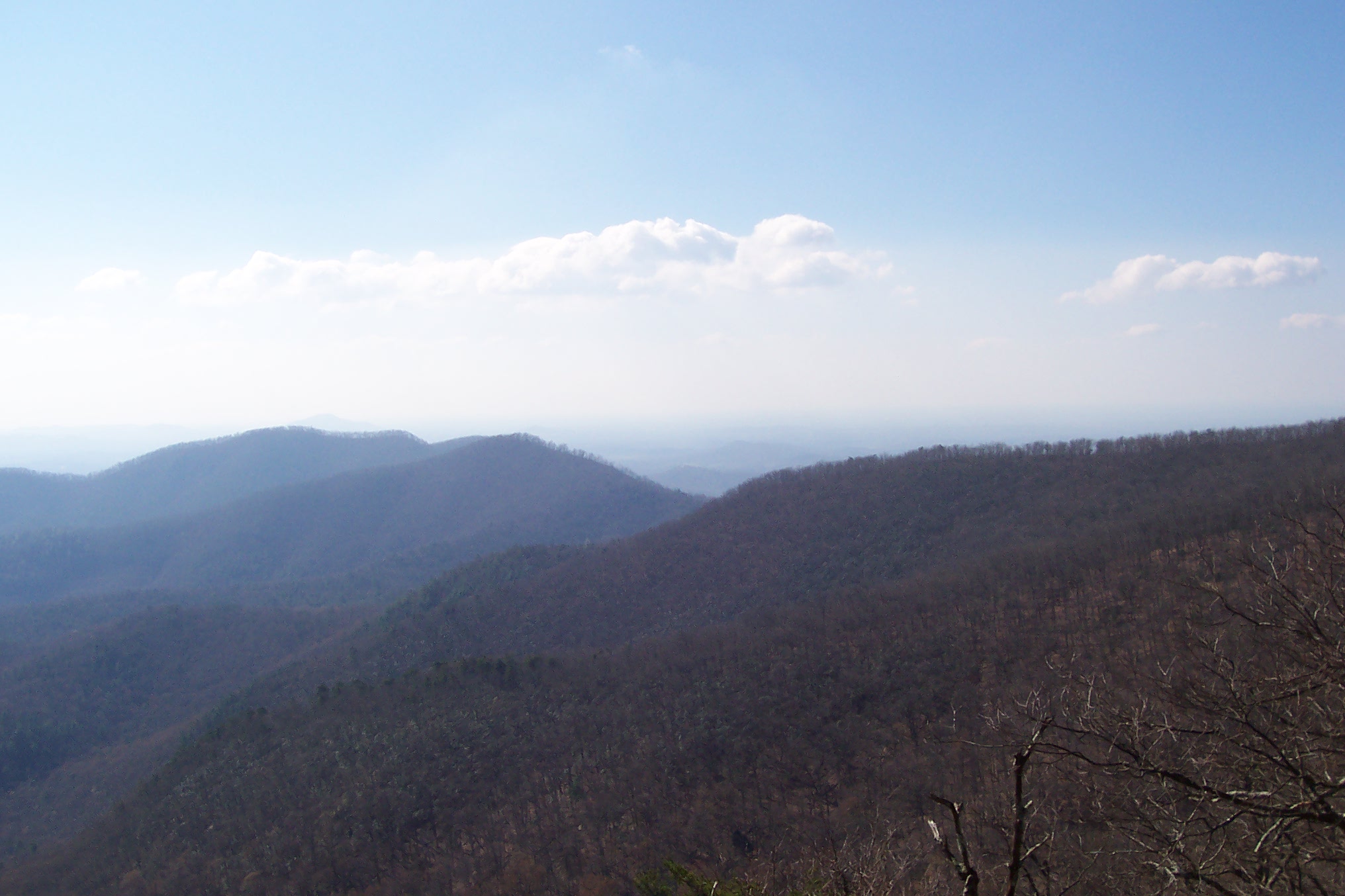 mm 9.6 From Big Cedar Mtn looking south at Woody Gap.  Courtesy wbmcp@hotmail.com
