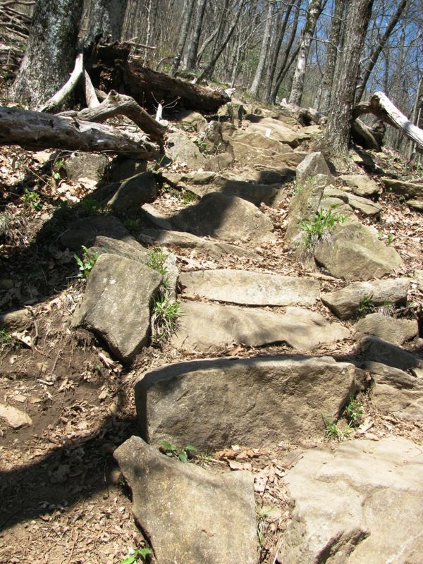 Showing the steep rocky steps headed south toward Blood Mountain.   Courtesy commissar67@gmail.com
