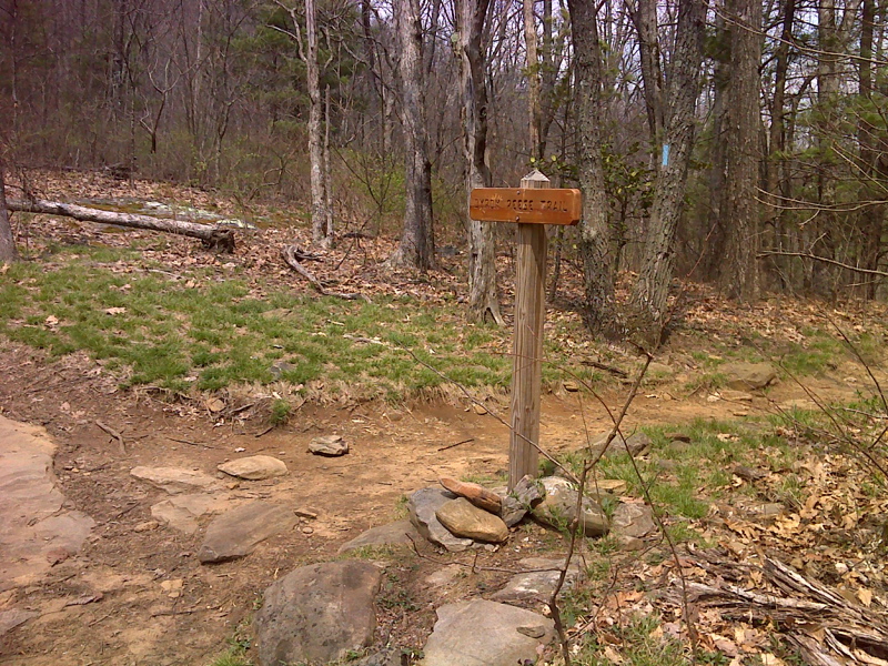 mm 1.0 Flatrock Gap. Shown is the intersection with the trail to the Bryan Reece Memorial where there is parking, both short and long term. The other trail  intersecting here is the Freeman Trail which leads around rather than over Blood Mt, reconnecting with the AT at mm 3.6.  GPS N34.73.7356 W83.9284  Courtesy pjwetzel@gmail.com
