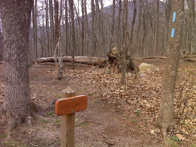 mm 3.6 Bird Gap.  Trail junction with the side trail to Woods Hole Shelter. It is 0.5 miles to the shelter.  GPS N34.7270 W83.9484  Courtesy pjwetzel@gmail.com