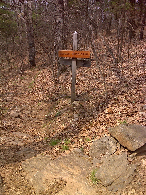 mm 2.8  Junction with Duncan Ridge Trail on upper slopes of  Blood Mt. GPS N34.7420 W83.9413  Courtesy pjwetzel@gmail.com