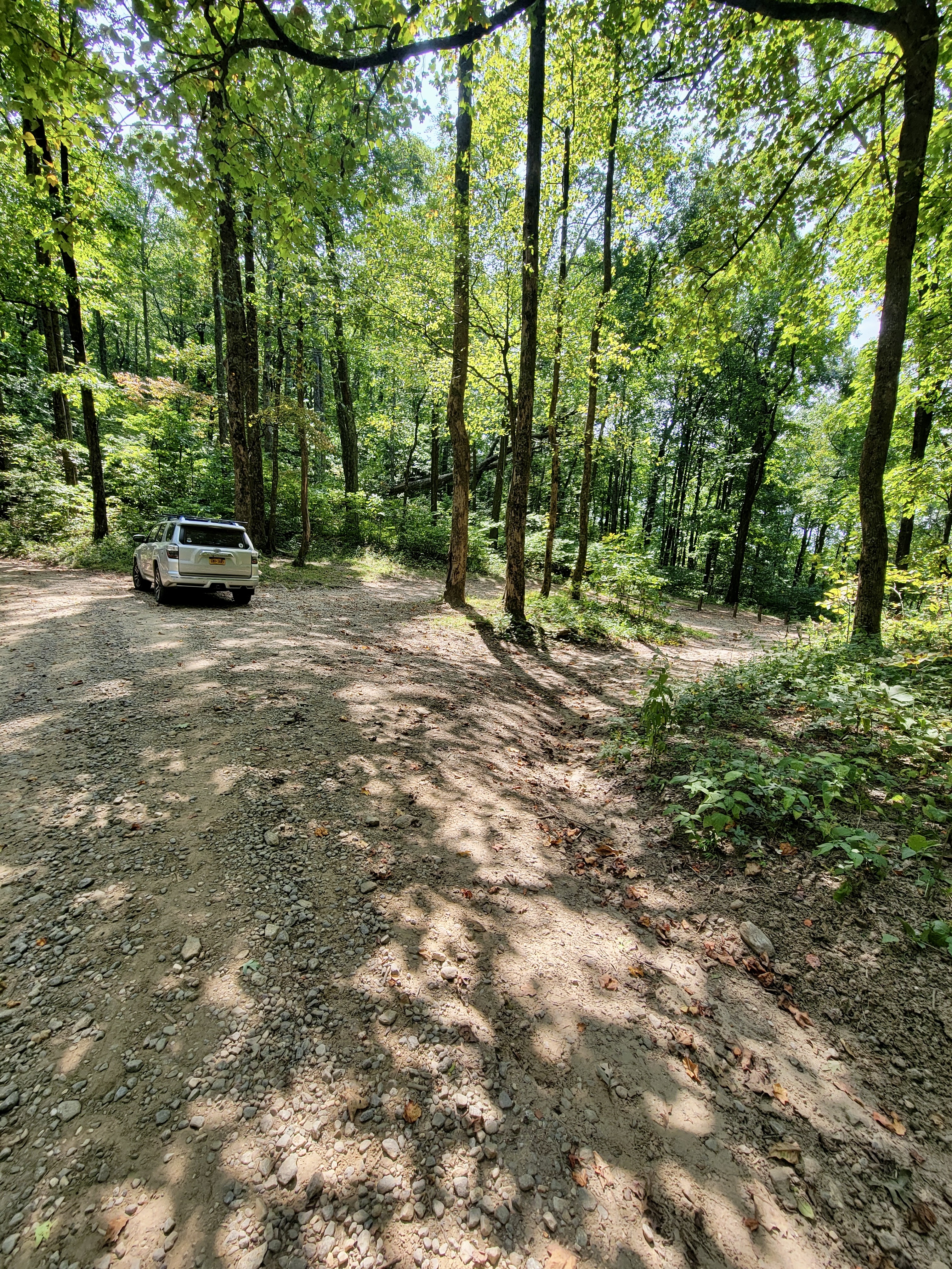 mm 10.0 Horse Gap parking area. Zoom in on the right side of image to see wooden posts marking where AT goes alongside back of parking area. Courtesy cabincellars@yahoo.com